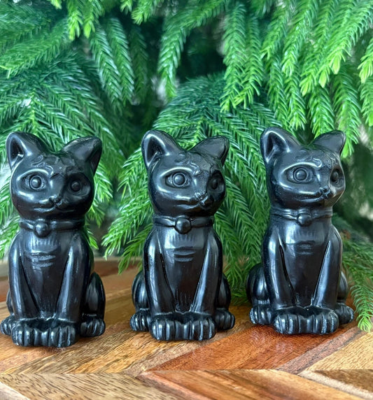 🖤 Black Obsidian Cat with Collar – Protection, Energetic Armor & Grounding | 5.1 oz