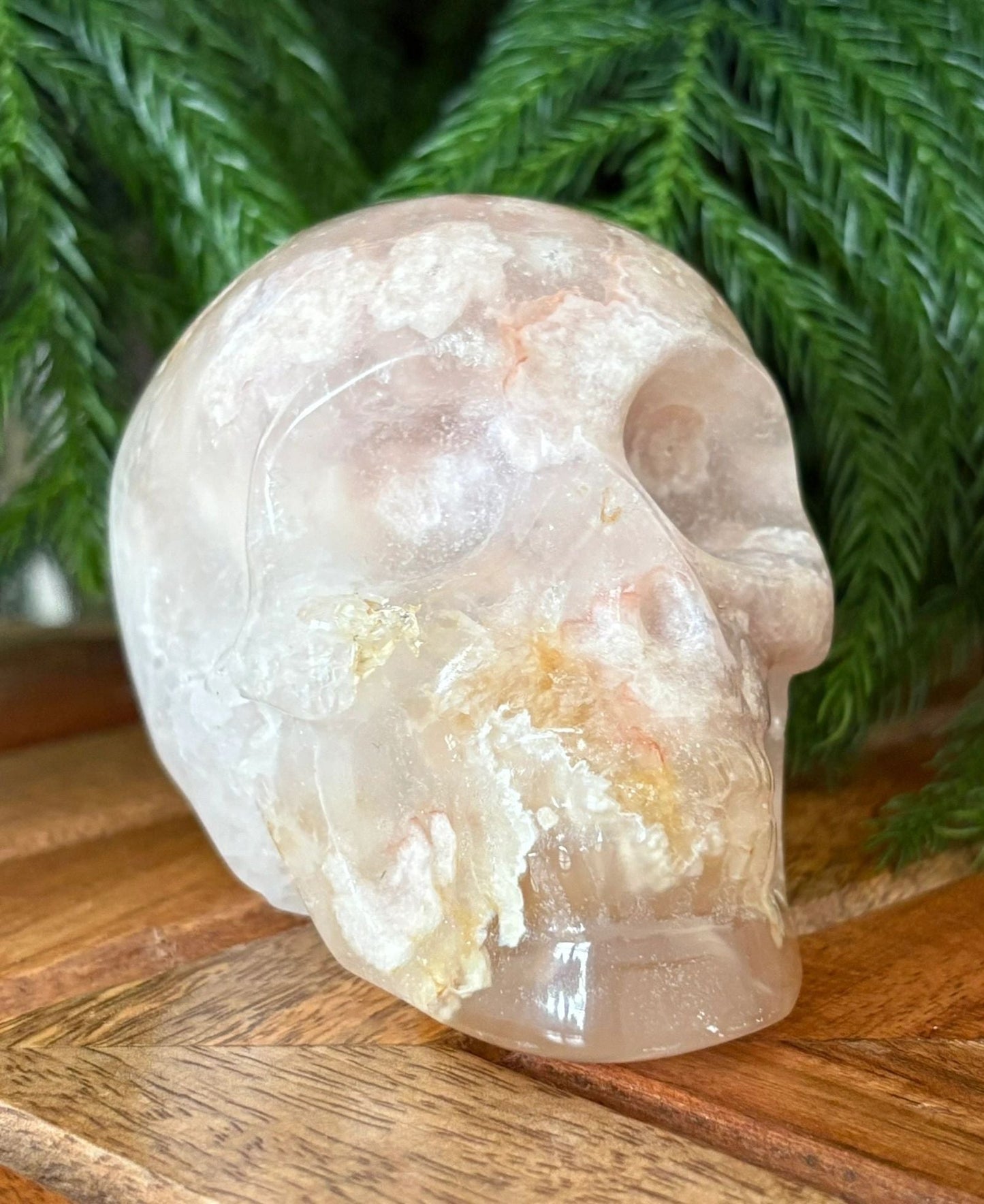 🌸 Flower Agate Skull – Growth, Glow & Cosmic Comebacks | 1.08 lbs. Translucence