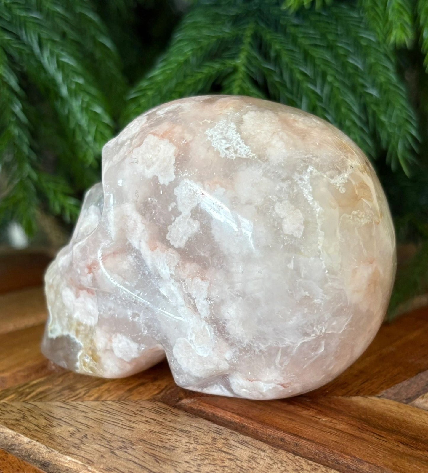 🌸 Flower Agate Skull – Growth, Glow & Cosmic Comebacks | 1.08 lbs. Translucence