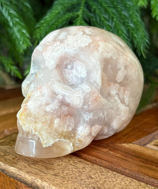 🌸 Flower Agate Skull – Growth, Glow & Cosmic Comebacks | 1.08 lbs. Translucence