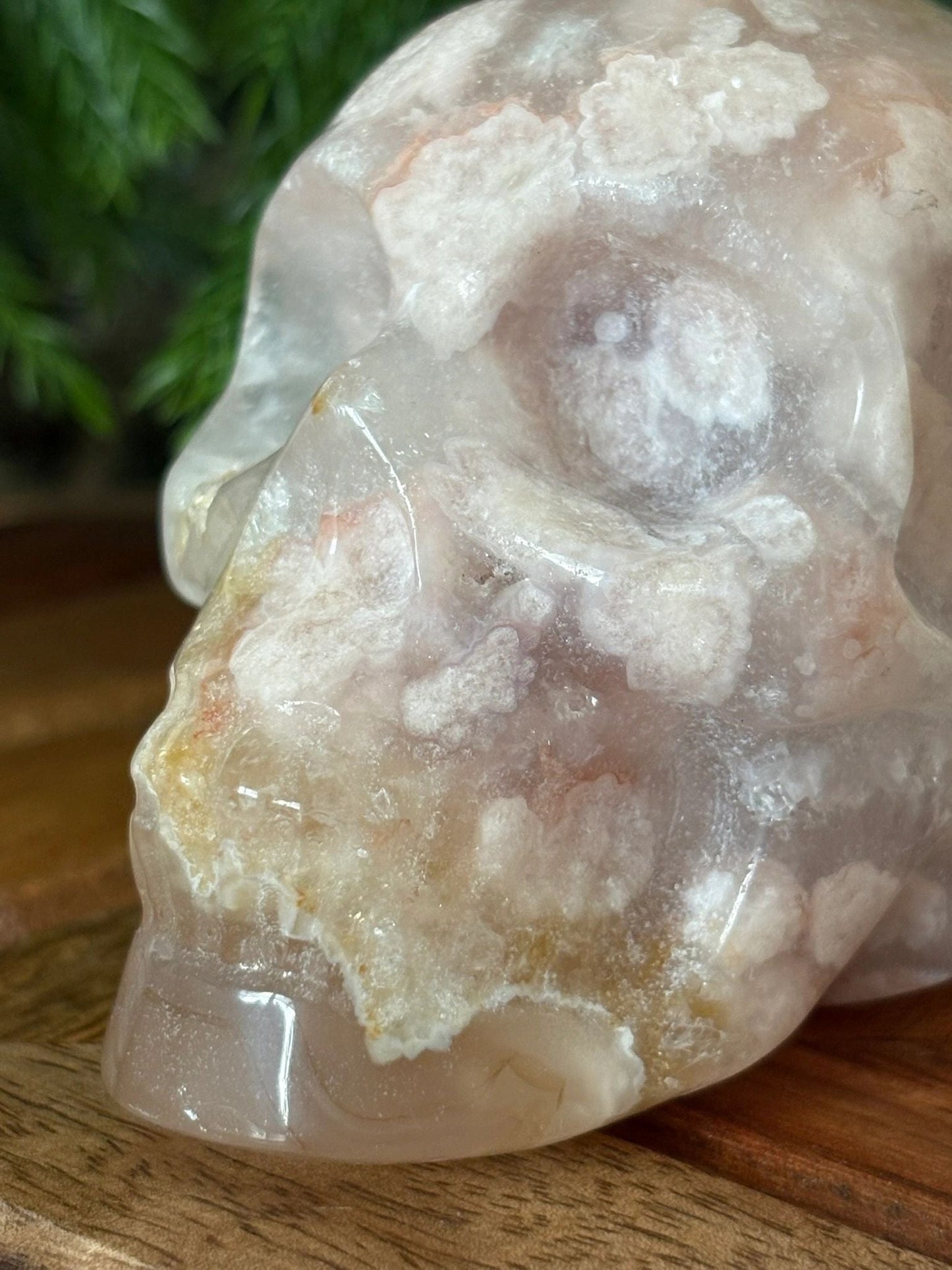 🌸 Flower Agate Skull – Growth, Glow & Cosmic Comebacks | 1.08 lbs. Translucence