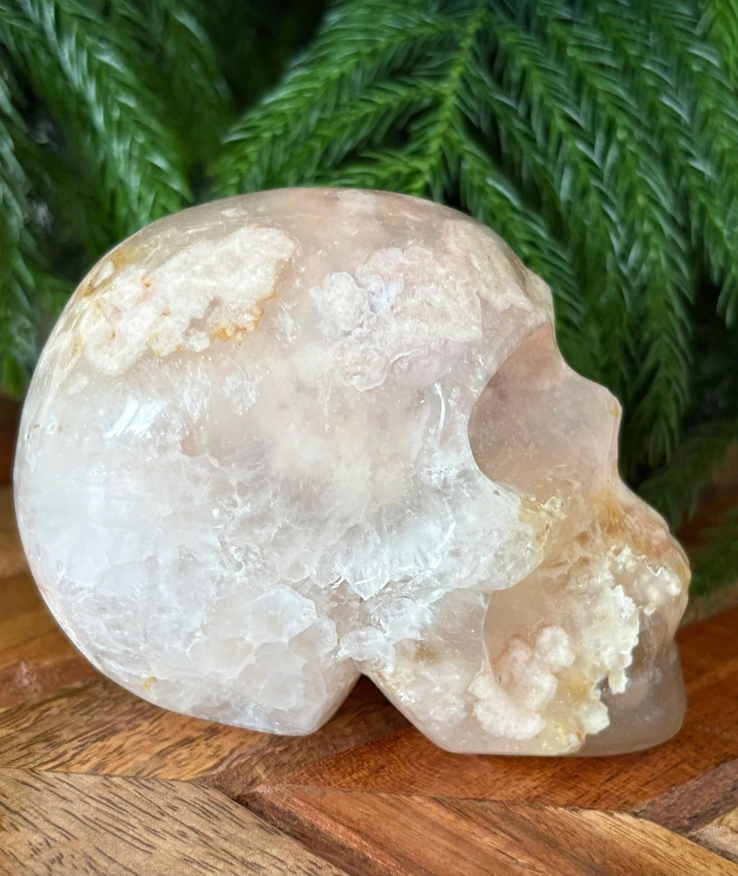 🌸 Flower Agate Skull – Growth, Glow & Cosmic Comebacks | 1.08 lbs. Translucence