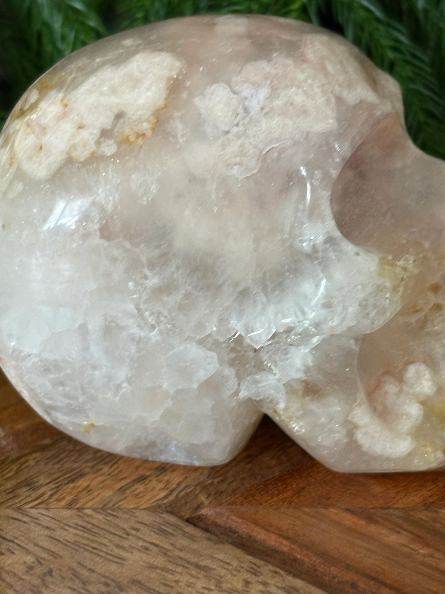 🌸 Flower Agate Skull – Growth, Glow & Cosmic Comebacks | 1.08 lbs. Translucence