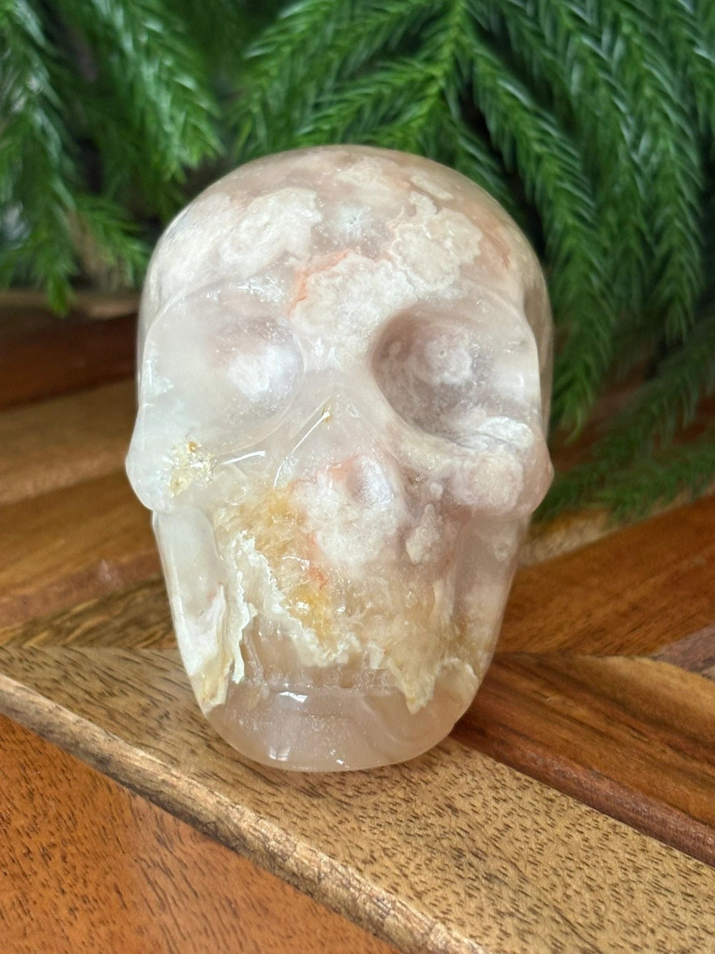 🌸 Flower Agate Skull – Growth, Glow & Cosmic Comebacks | 1.08 lbs. Translucence