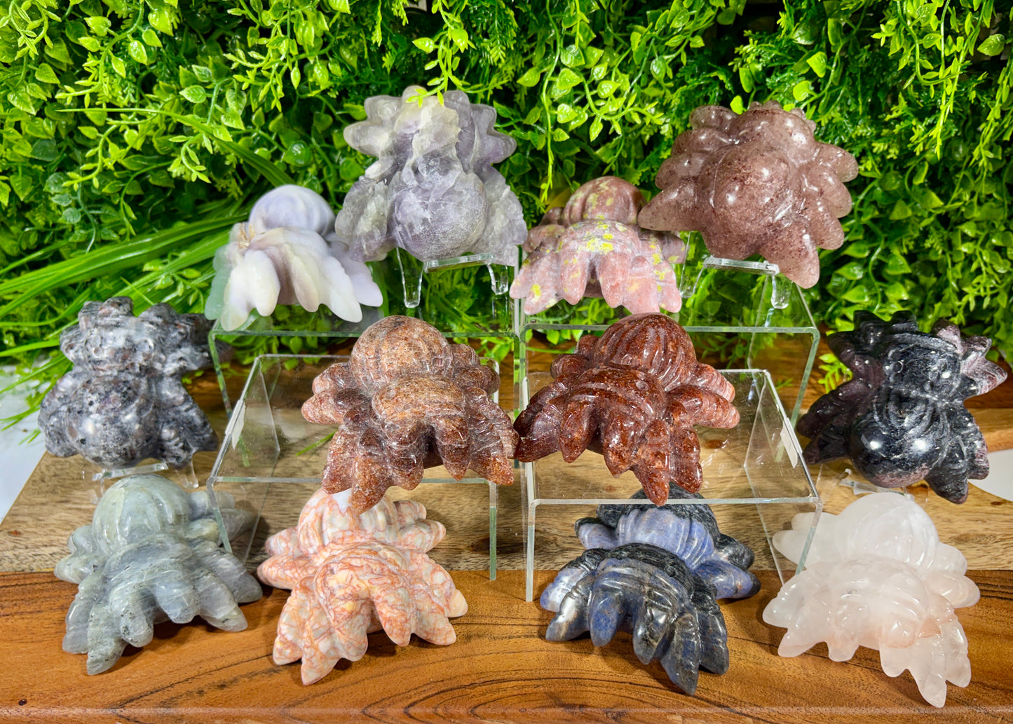A collection of carved crystal formations, including starfish, sea urchins, and coral-like shapes, displayed on clear acrylic stands over a wooden surface with a green leafy background.