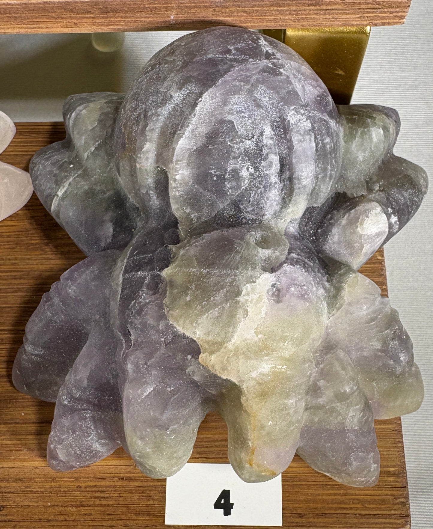 Crystal Spider Carvings Creativity • Patience • Manifestation