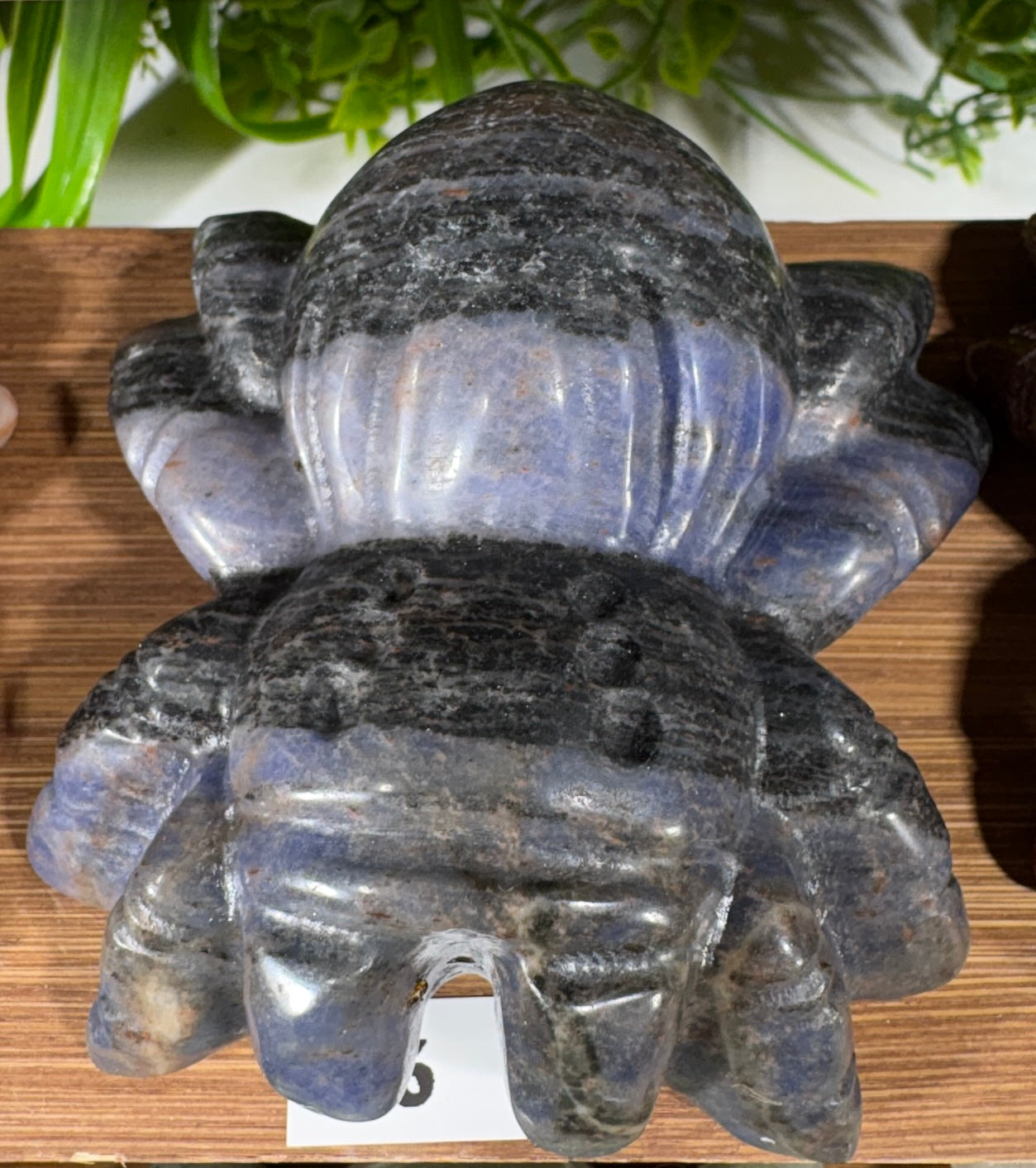 A carved stone spider figurine with a polished blue-gray and black marbled appearance, displayed on a wooden surface with green plants in the background.