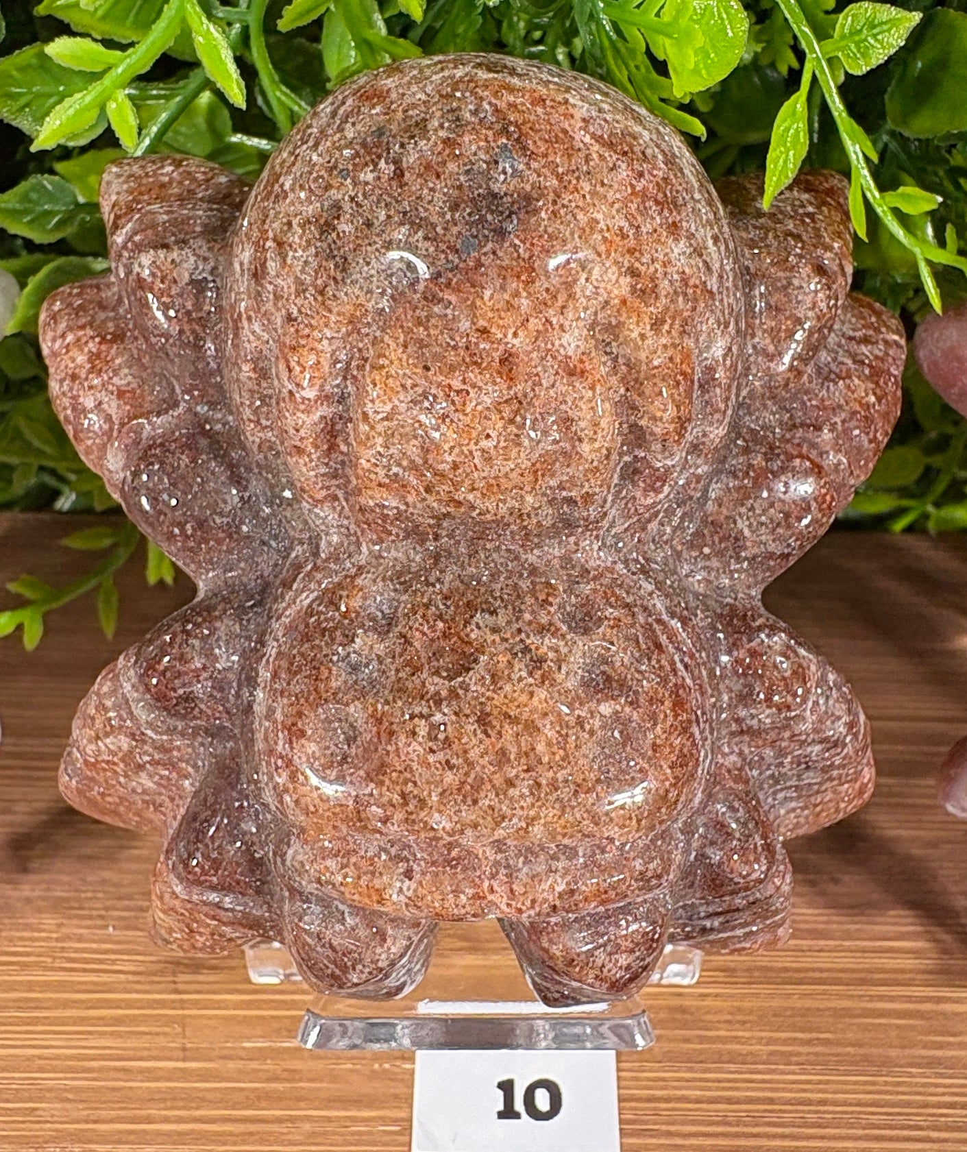 A carved reddish-brown stone spider figurine displayed on a clear acrylic stand, set against a background of green foliage and a wooden surface.