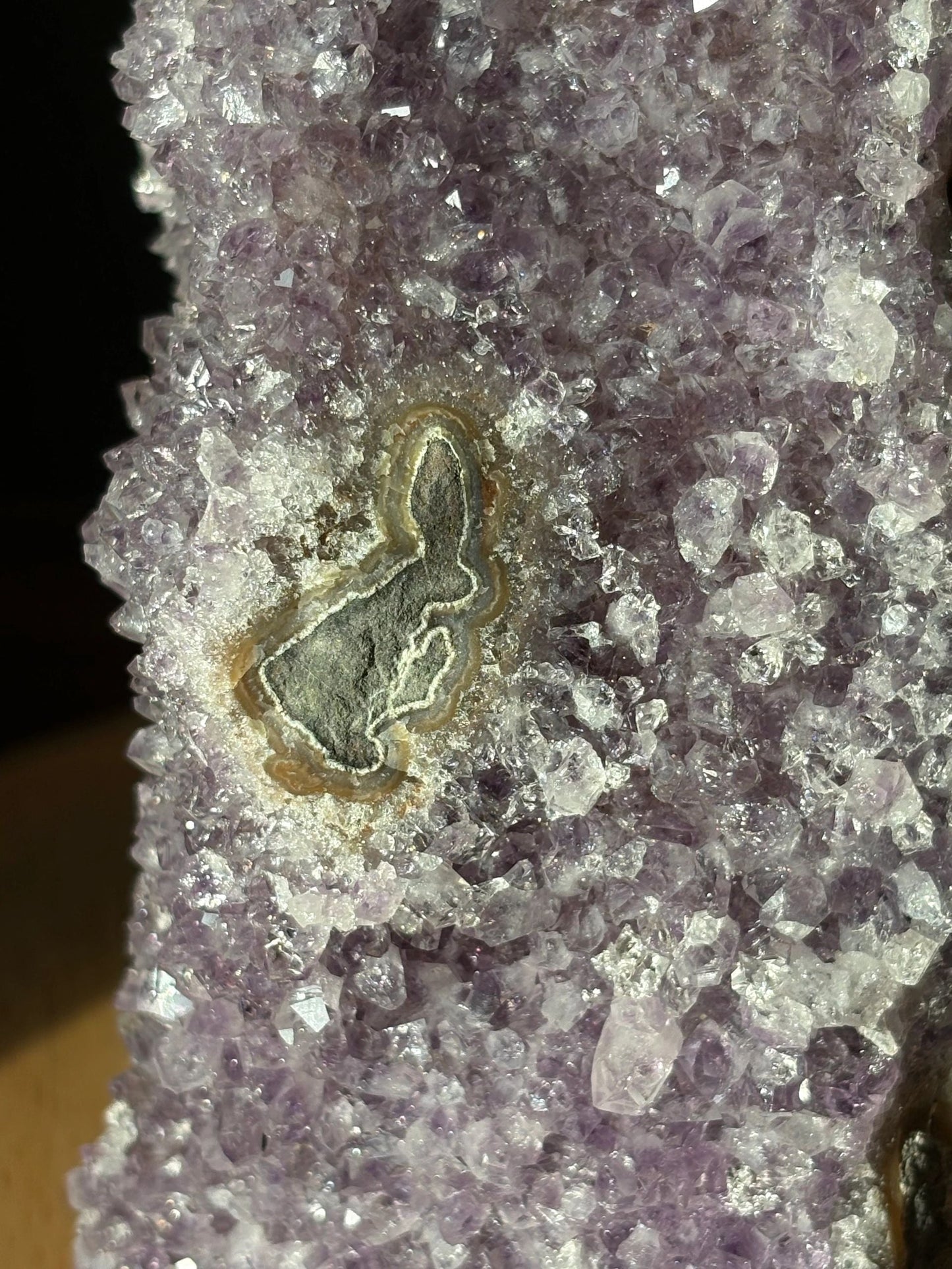🐇 Lucky Bunny Amethyst Cluster – Protection, Serenity & Cosmic Whimsy | 3.15 lbs.