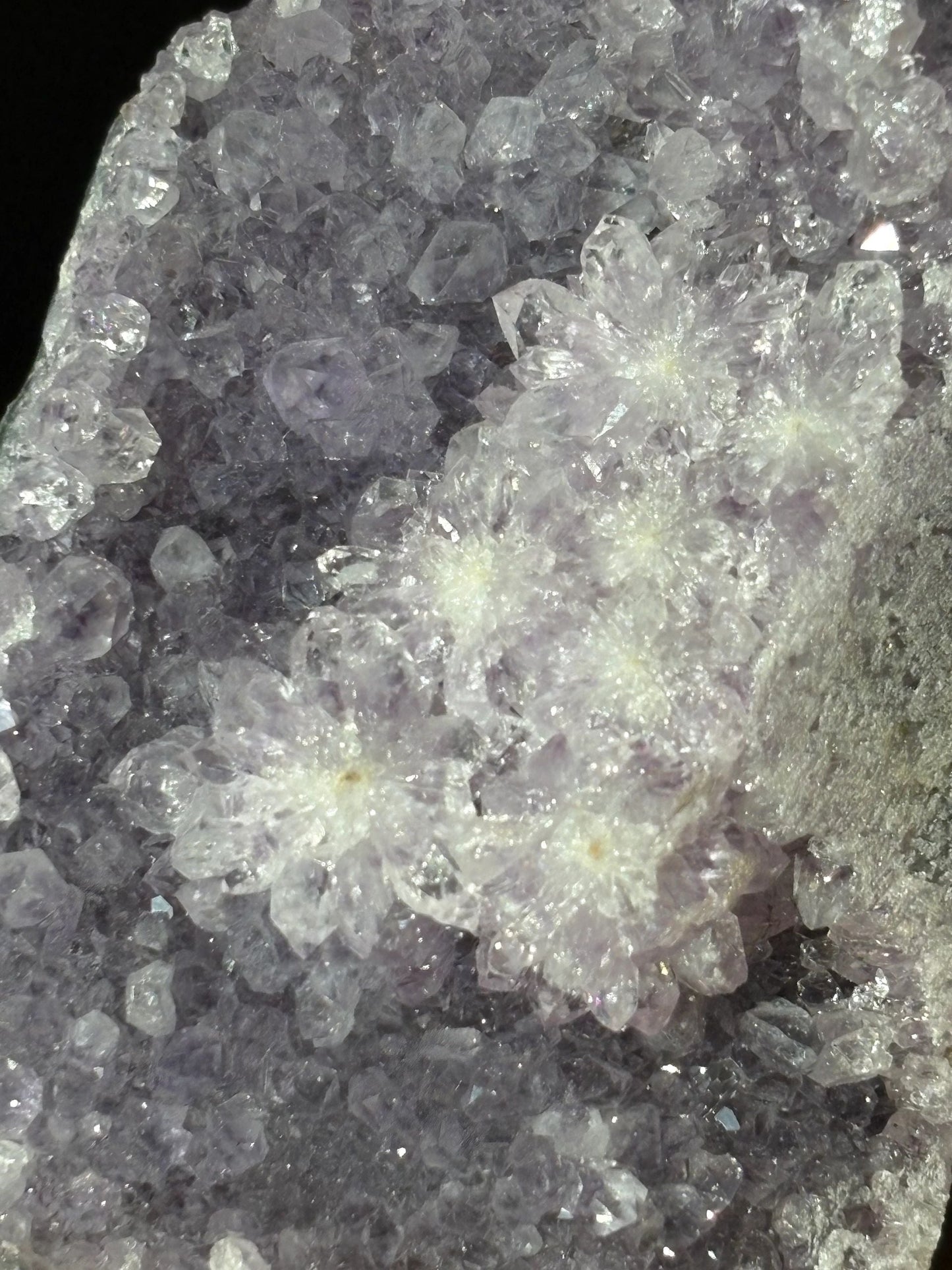 💜 Raw Amethyst Crystal – Star-Cluster Bloom, Intuition, Peace | 1.48 lbs