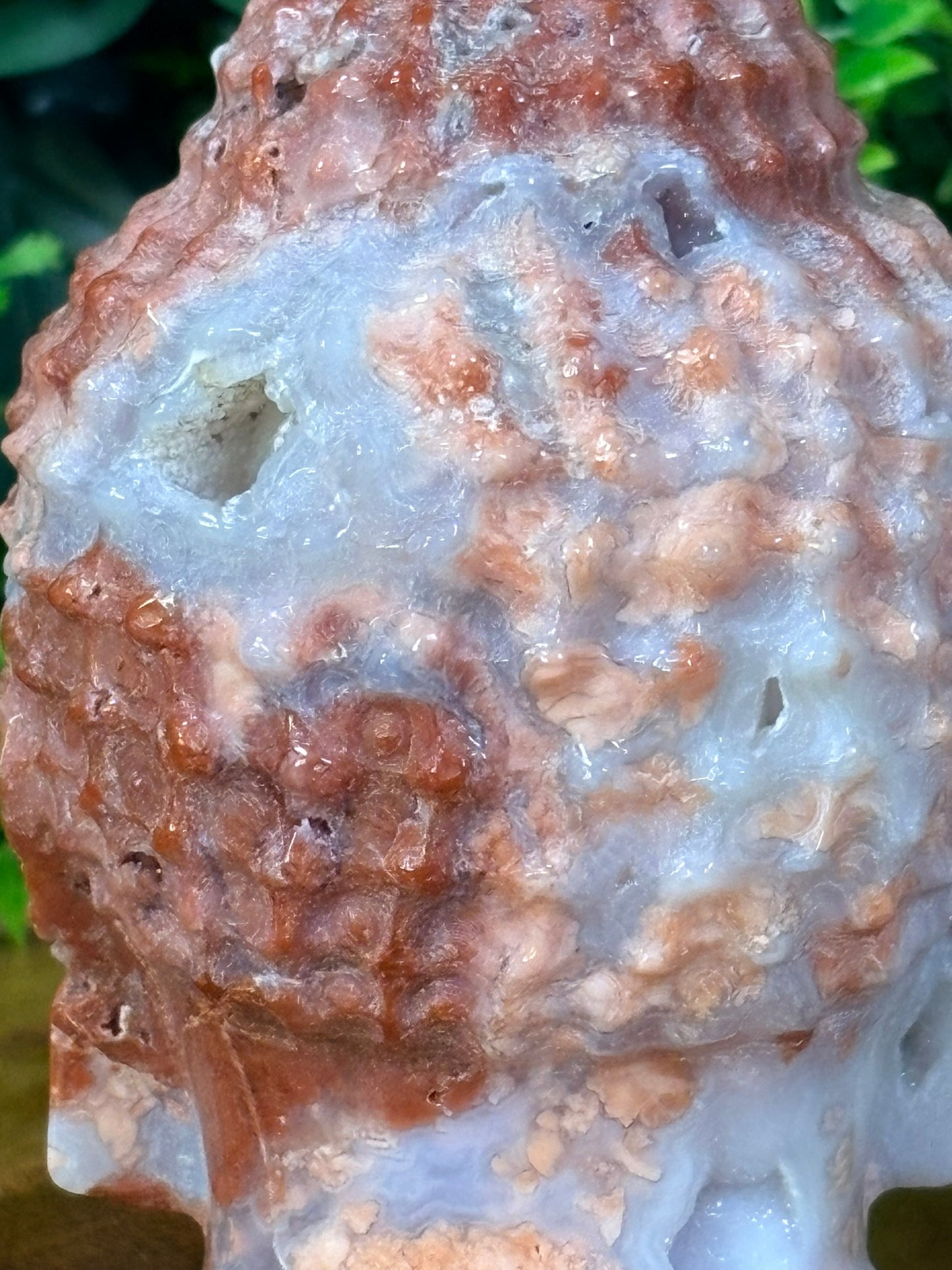 🌸 Pink Petal Agate Buddha Head | Gentle Awakening • Inner Bloom • Sacred Stillness
