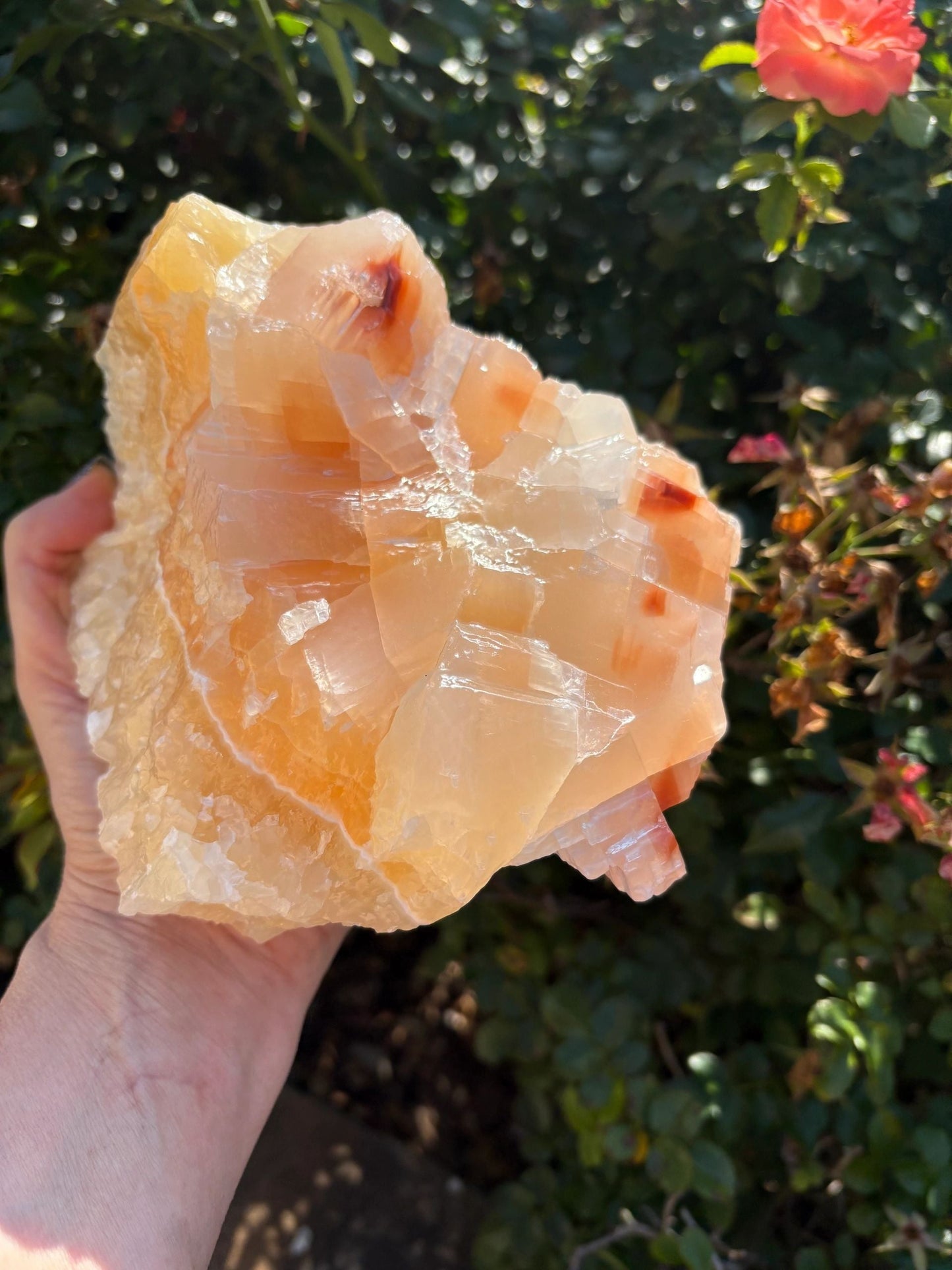 🍊Raw Orange Calcite Crystal – Motivation, Creativity & Solar Plexus Power | 4.8 lbs