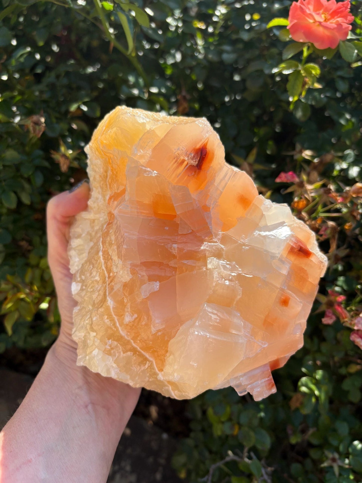 🍊Raw Orange Calcite Crystal – Motivation, Creativity & Solar Plexus Power | 4.8 lbs