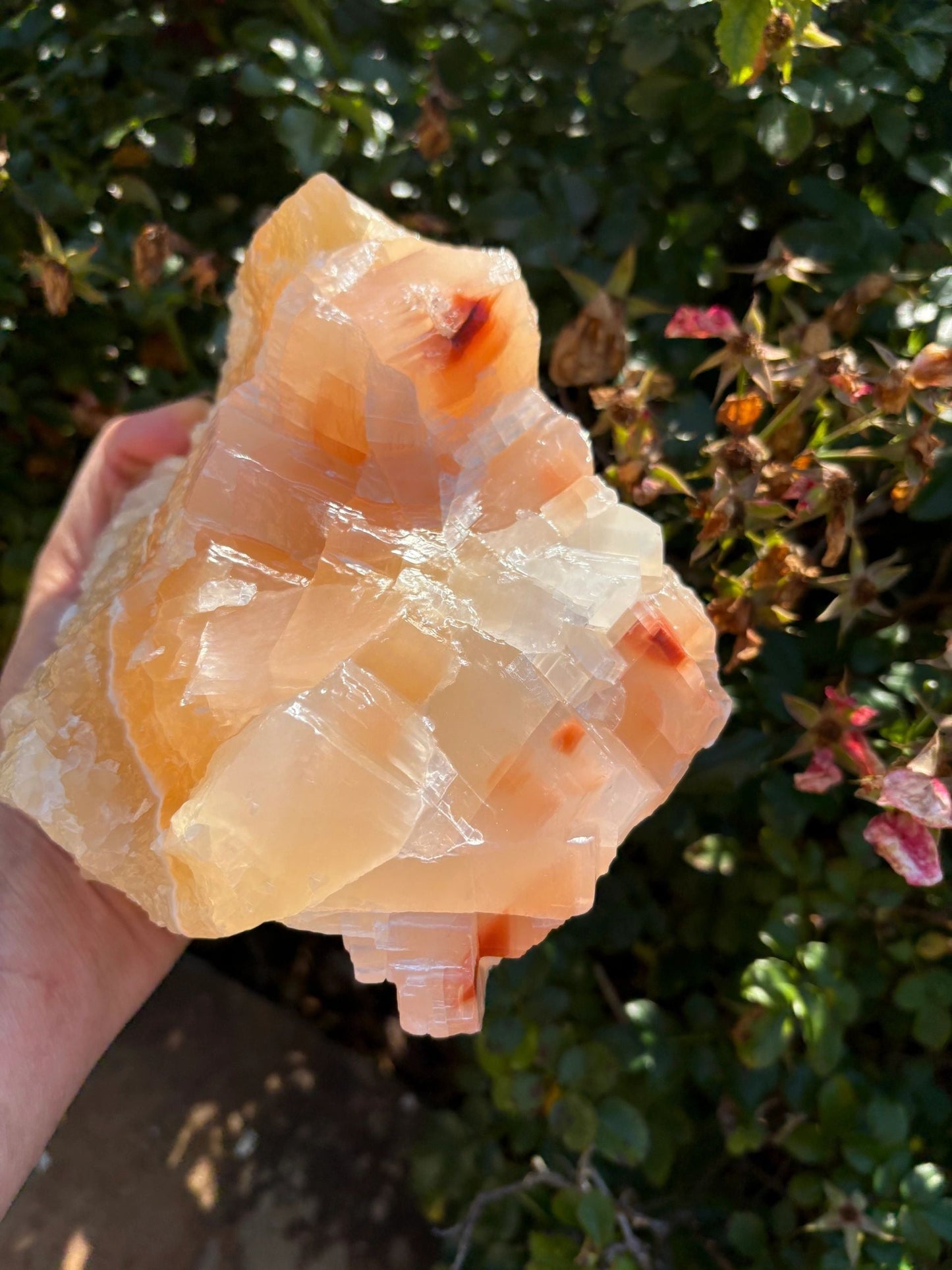 🍊Raw Orange Calcite Crystal – Motivation, Creativity & Solar Plexus Power | 4.8 lbs