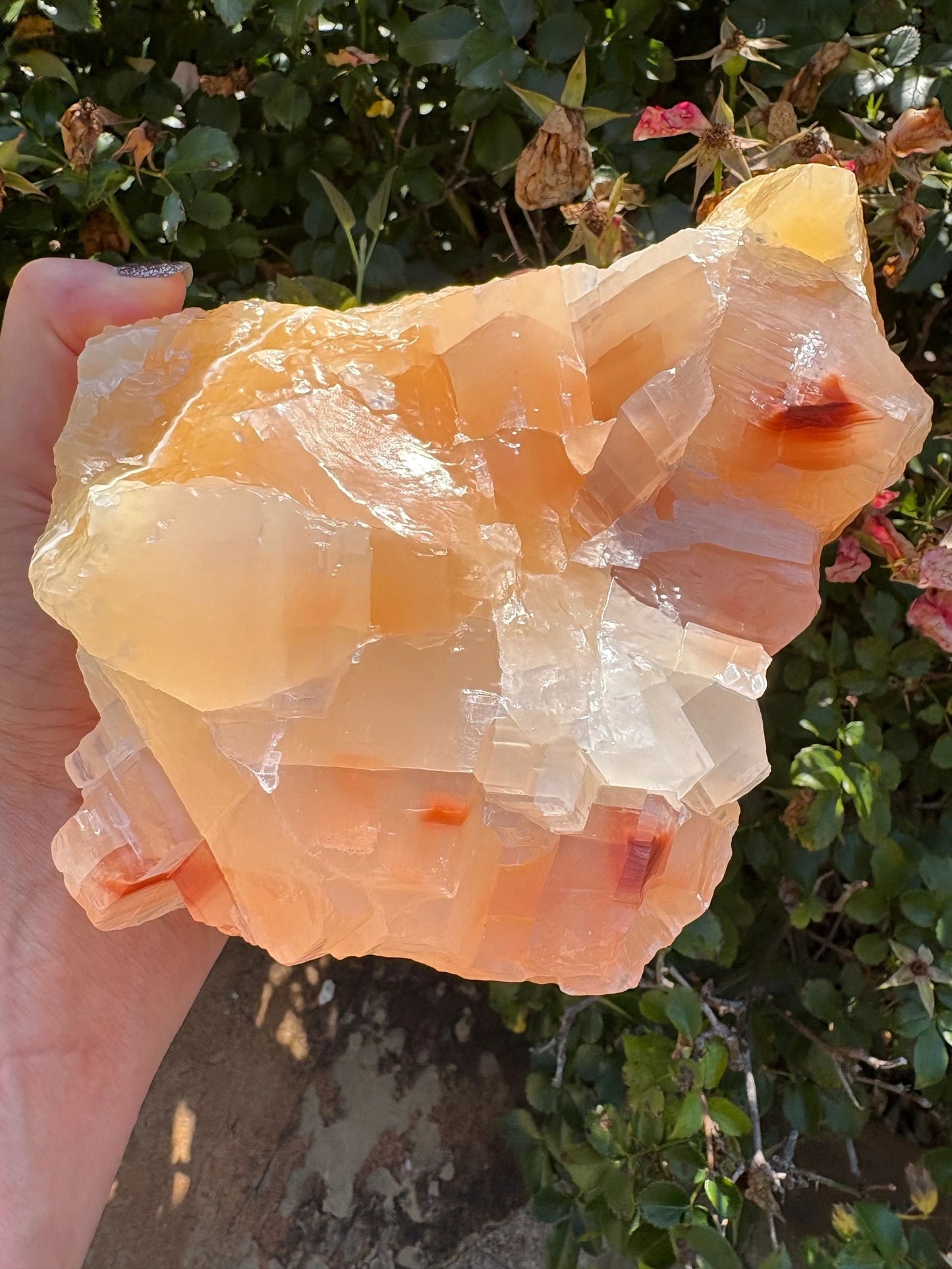 🍊Raw Orange Calcite Crystal – Motivation, Creativity & Solar Plexus Power | 4.8 lbs
