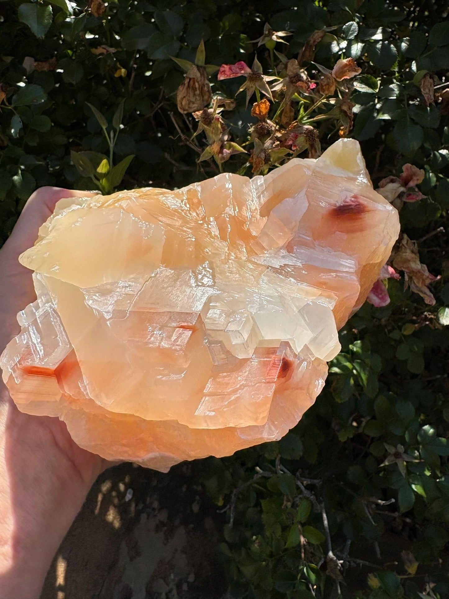 🍊Raw Orange Calcite Crystal – Motivation, Creativity & Solar Plexus Power | 4.8 lbs