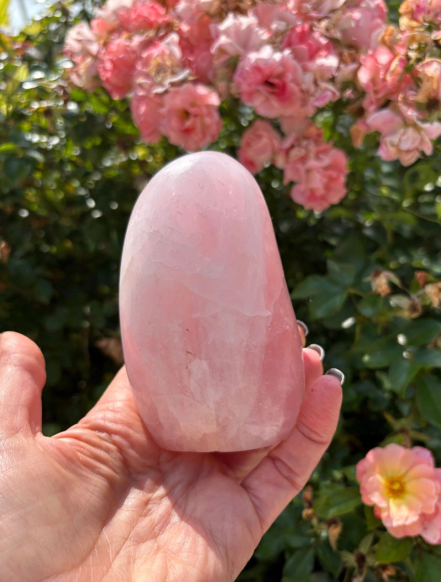 🌸 Rose Quartz Venus Bloom Freeforms – Love, Soft Power & Heart-Centered Glow