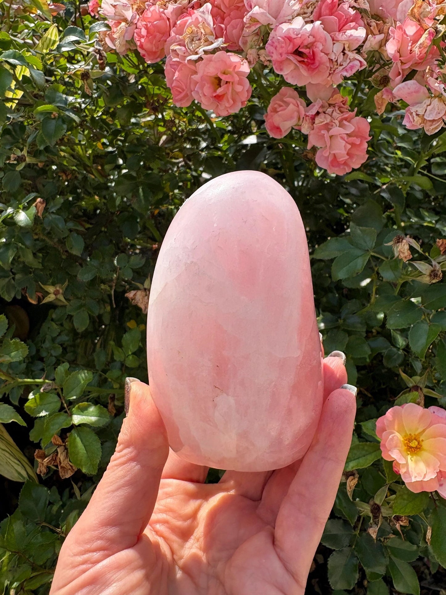 🌸 Rose Quartz Venus Bloom Freeforms – Love, Soft Power & Heart-Centered Glow