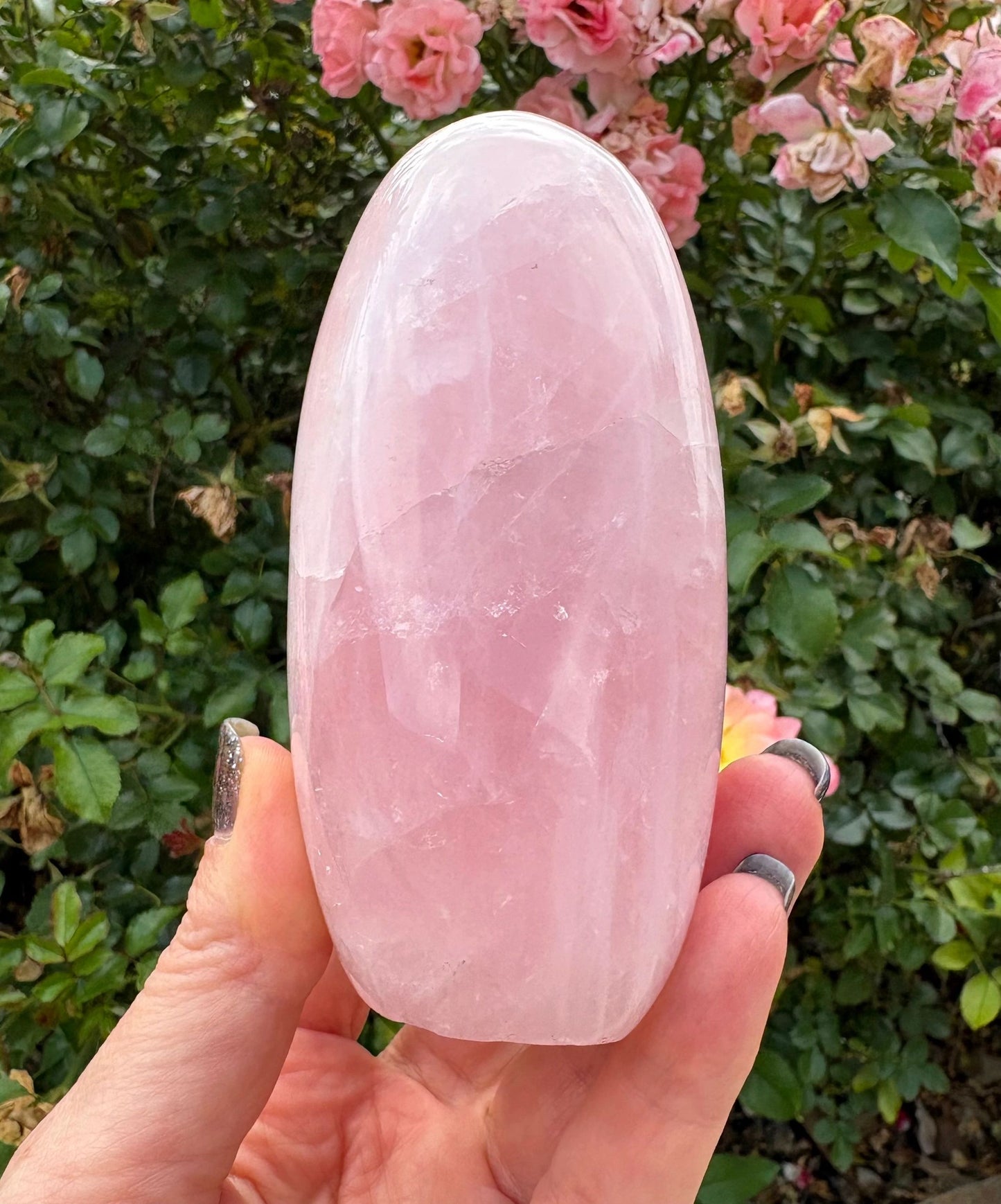 🌸 Rose Quartz Venus Bloom Freeforms – Love, Soft Power & Heart-Centered Glow
