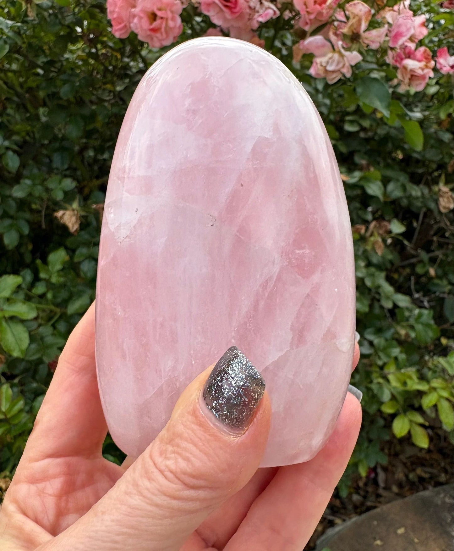 🌸 Rose Quartz Venus Bloom Freeforms – Love, Soft Power & Heart-Centered Glow