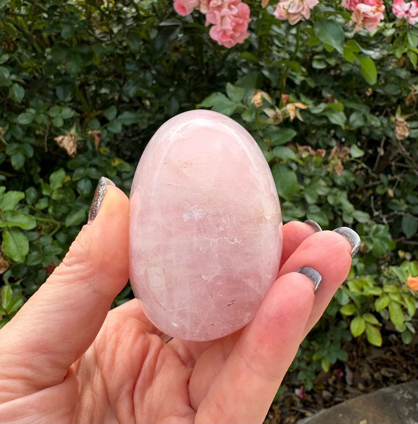 🌸 Rose Quartz Venus Bloom Freeforms – Love, Soft Power & Heart-Centered Glow