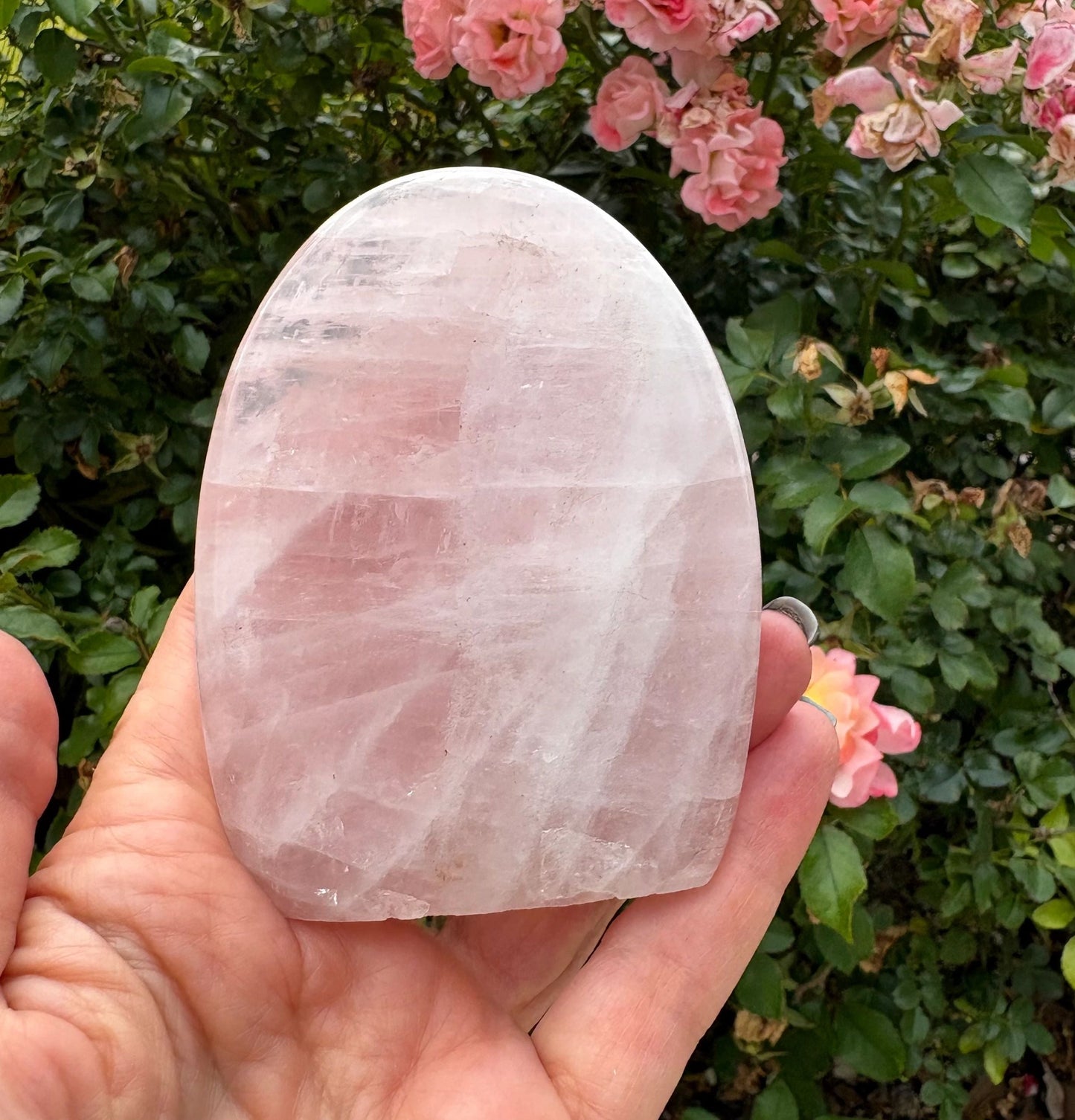 💗 Rose Quartz Freeform – Love, Compassion & Emotional Ease | Choose Your Piece