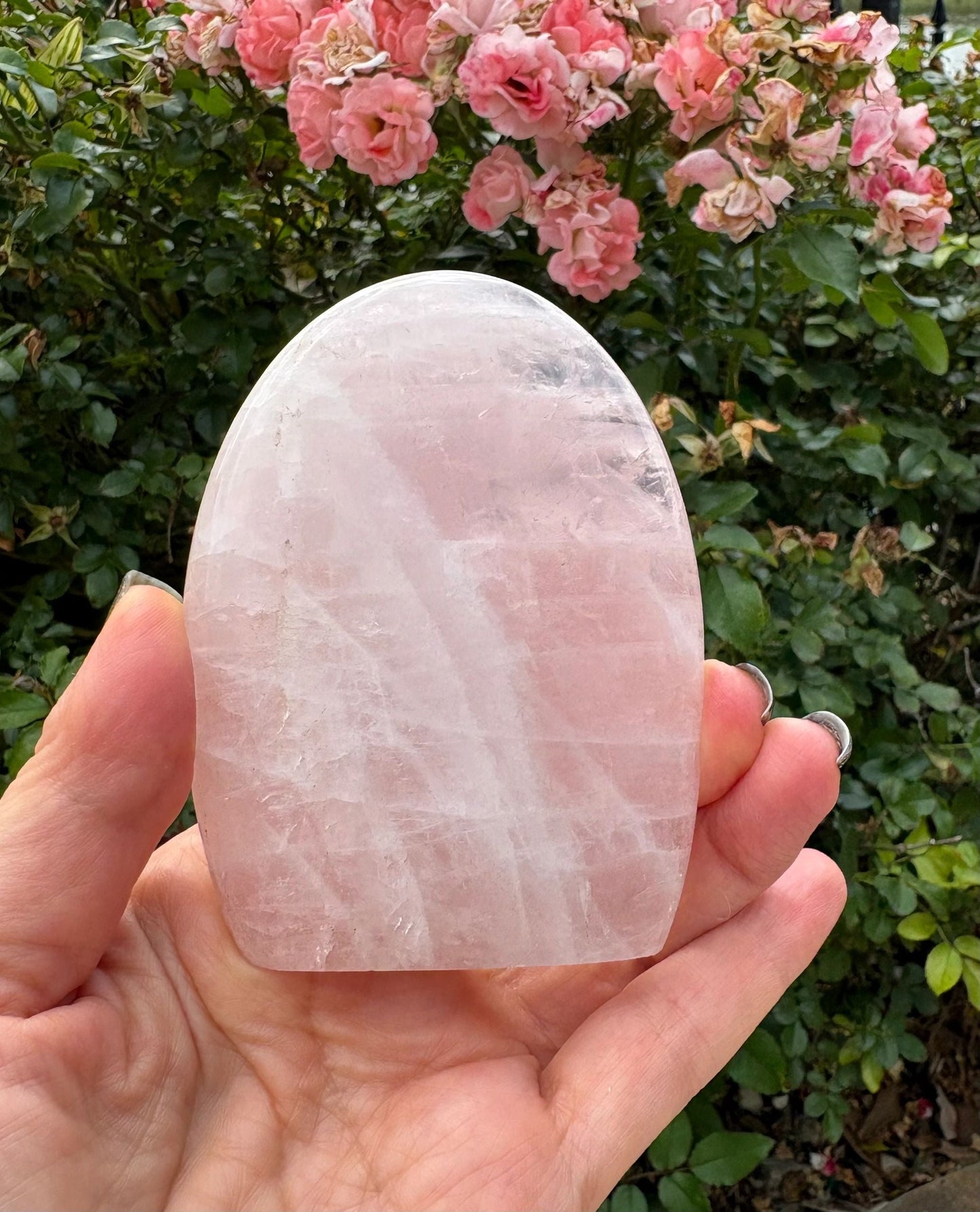 💗 Rose Quartz Freeform – Love, Compassion & Emotional Ease | Choose Your Piece