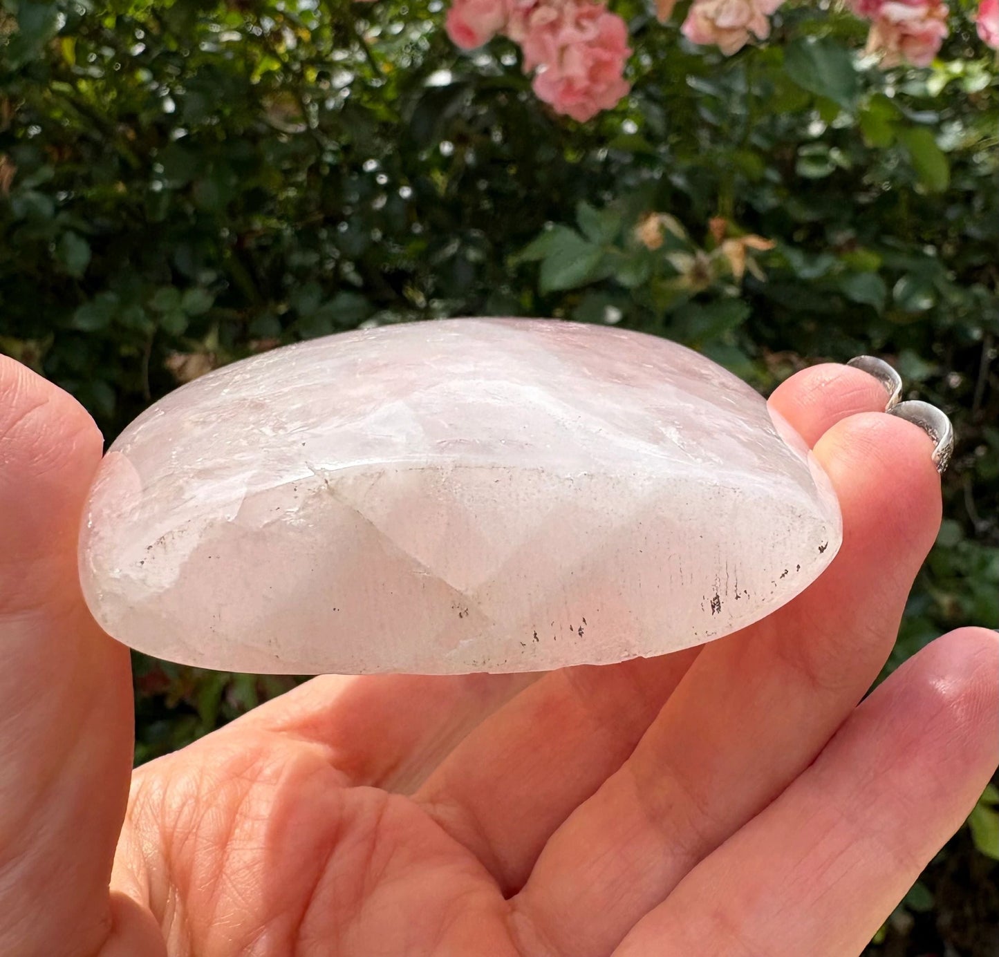 💗 Rose Quartz Freeform – Love, Compassion & Emotional Ease | Choose Your Piece