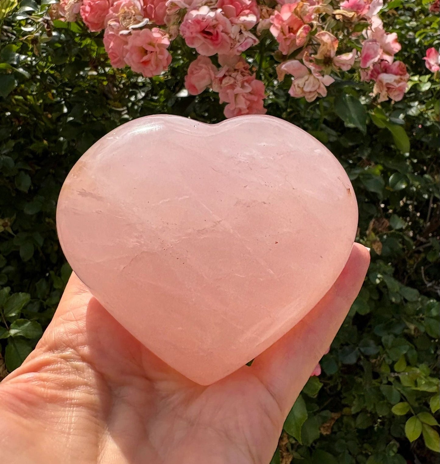 💗 Rose Quartz Heart – Unconditional Love, Emotional Healing & Gentle Strength | 1.24 lbs