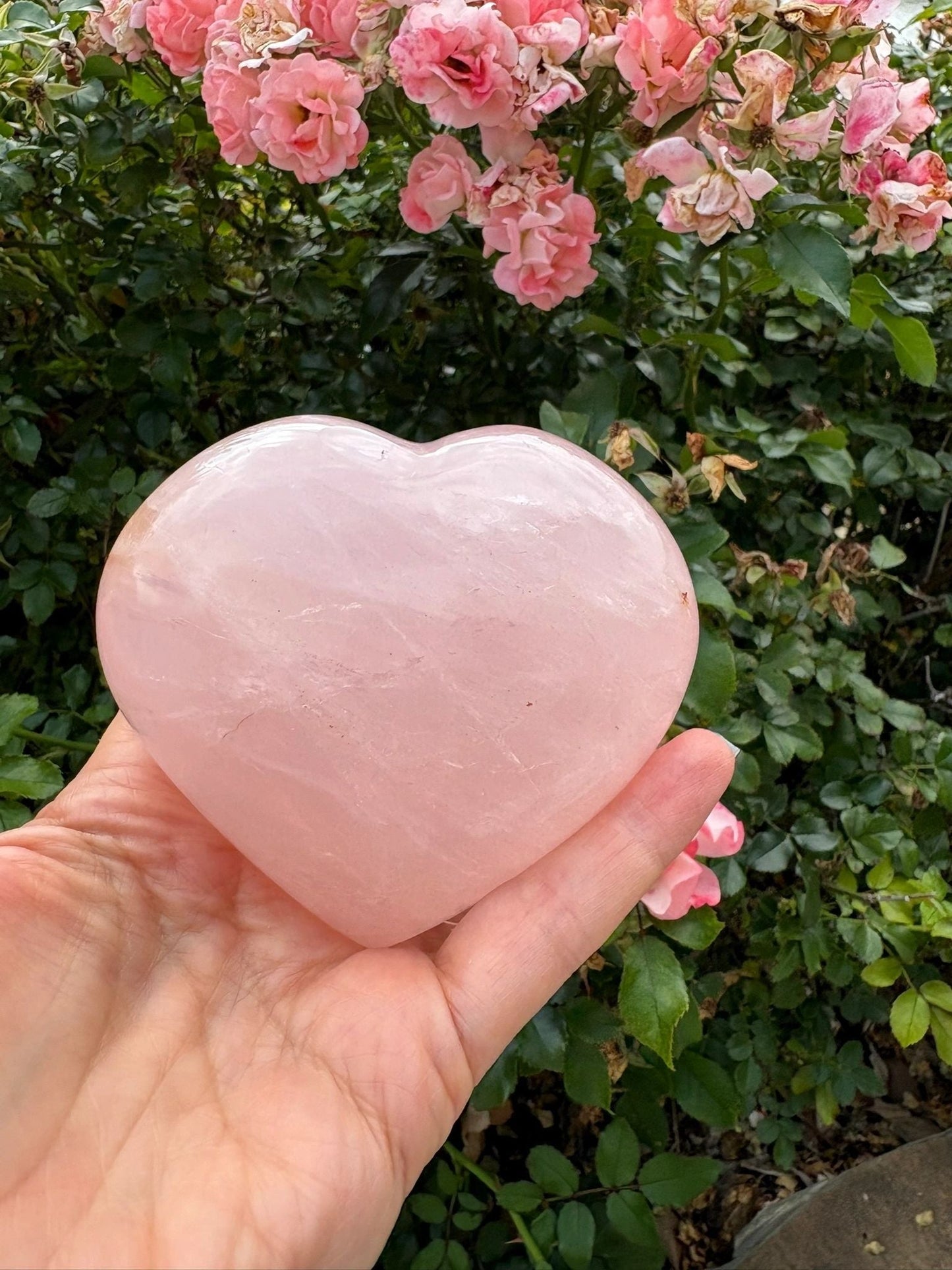 💗 Rose Quartz Heart – Unconditional Love, Emotional Healing & Gentle Strength | 1.24 lbs