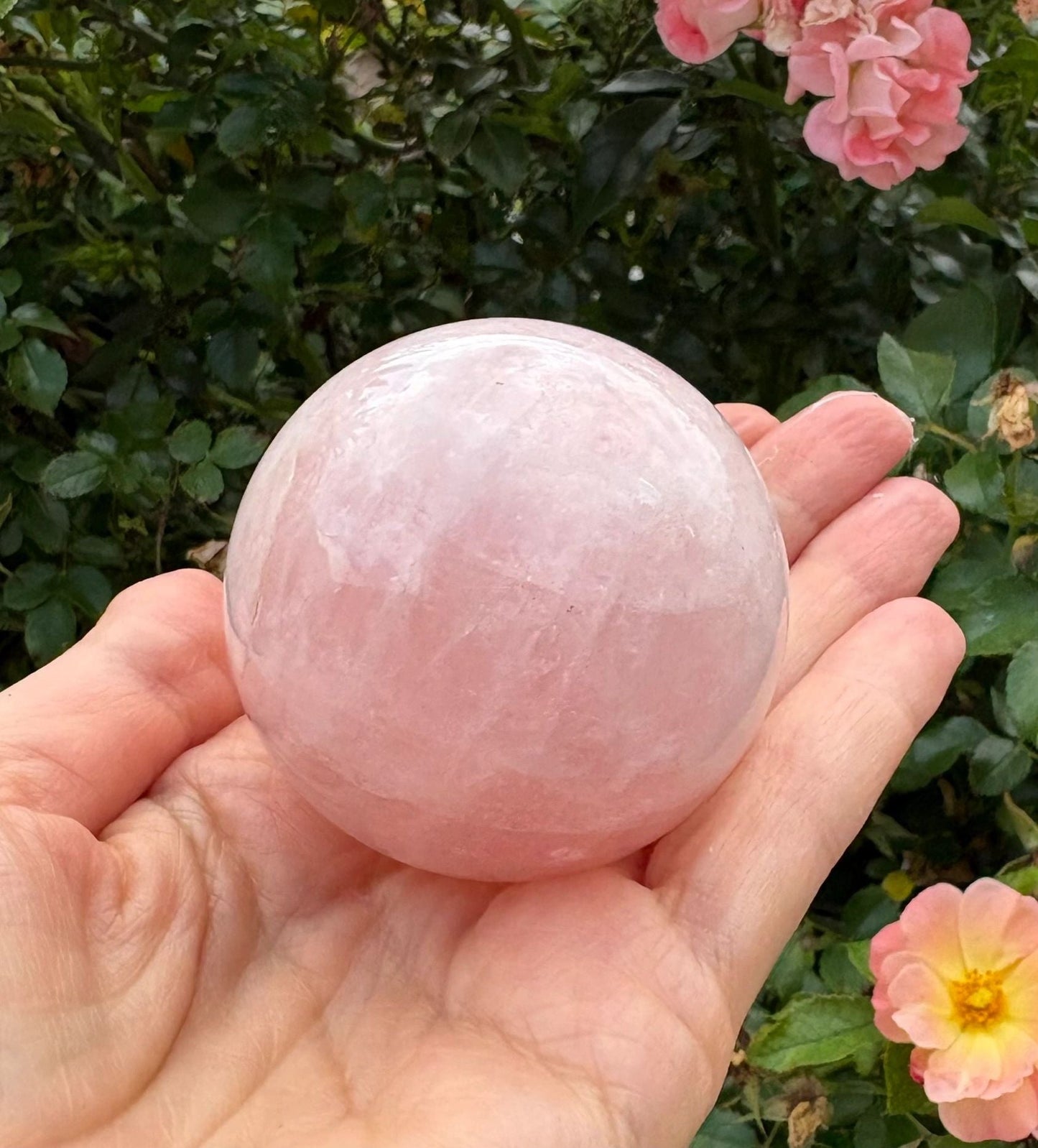 💗 Rose Quartz Sphere – Love, Heart Healing & Soft Power | 8.49 oz