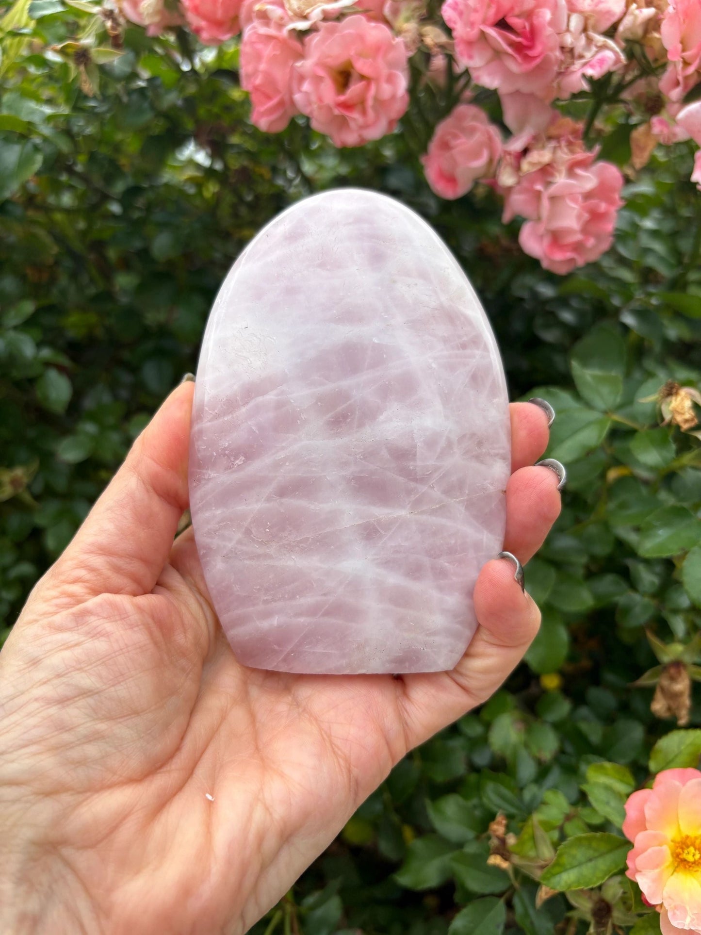 💗 Rose Quartz Freeform – Love, Compassion & Emotional Ease | Choose Your Piece