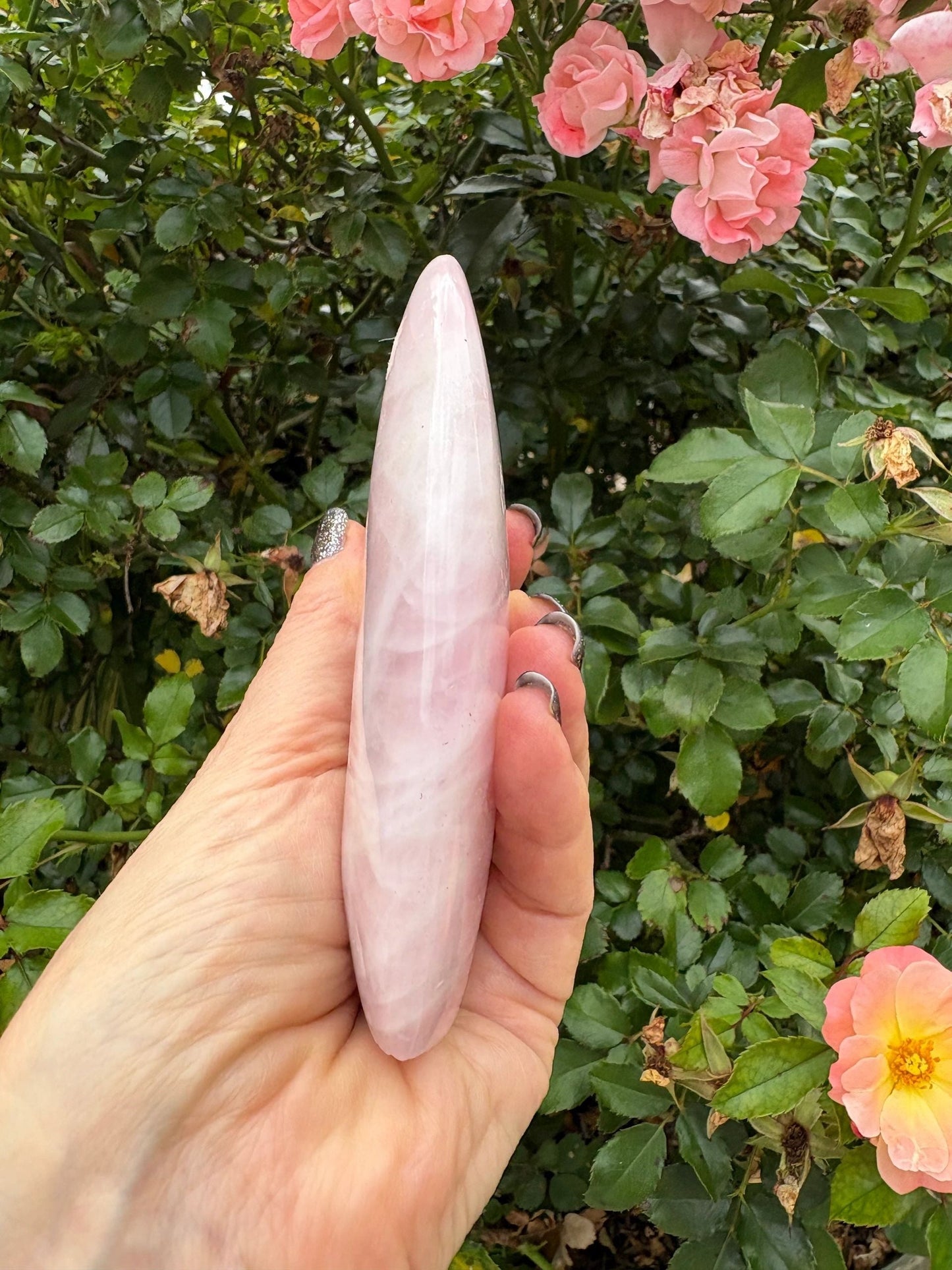 💗 Rose Quartz Freeform – Love, Compassion & Emotional Ease | Choose Your Piece