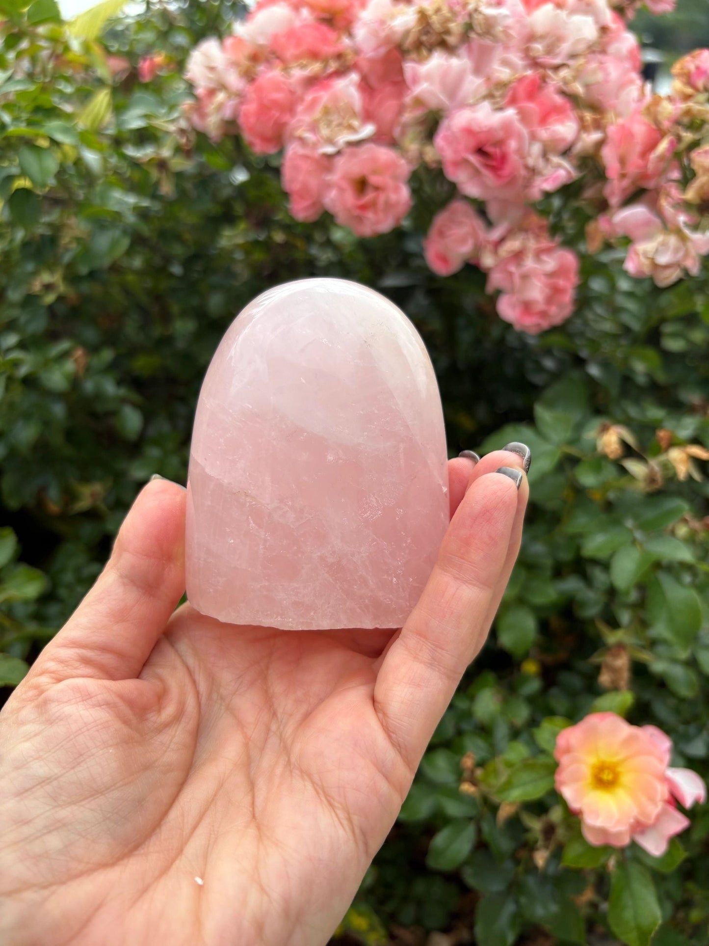 🌸 Rose Quartz Venus Bloom Freeforms – Love, Soft Power & Heart-Centered Glow