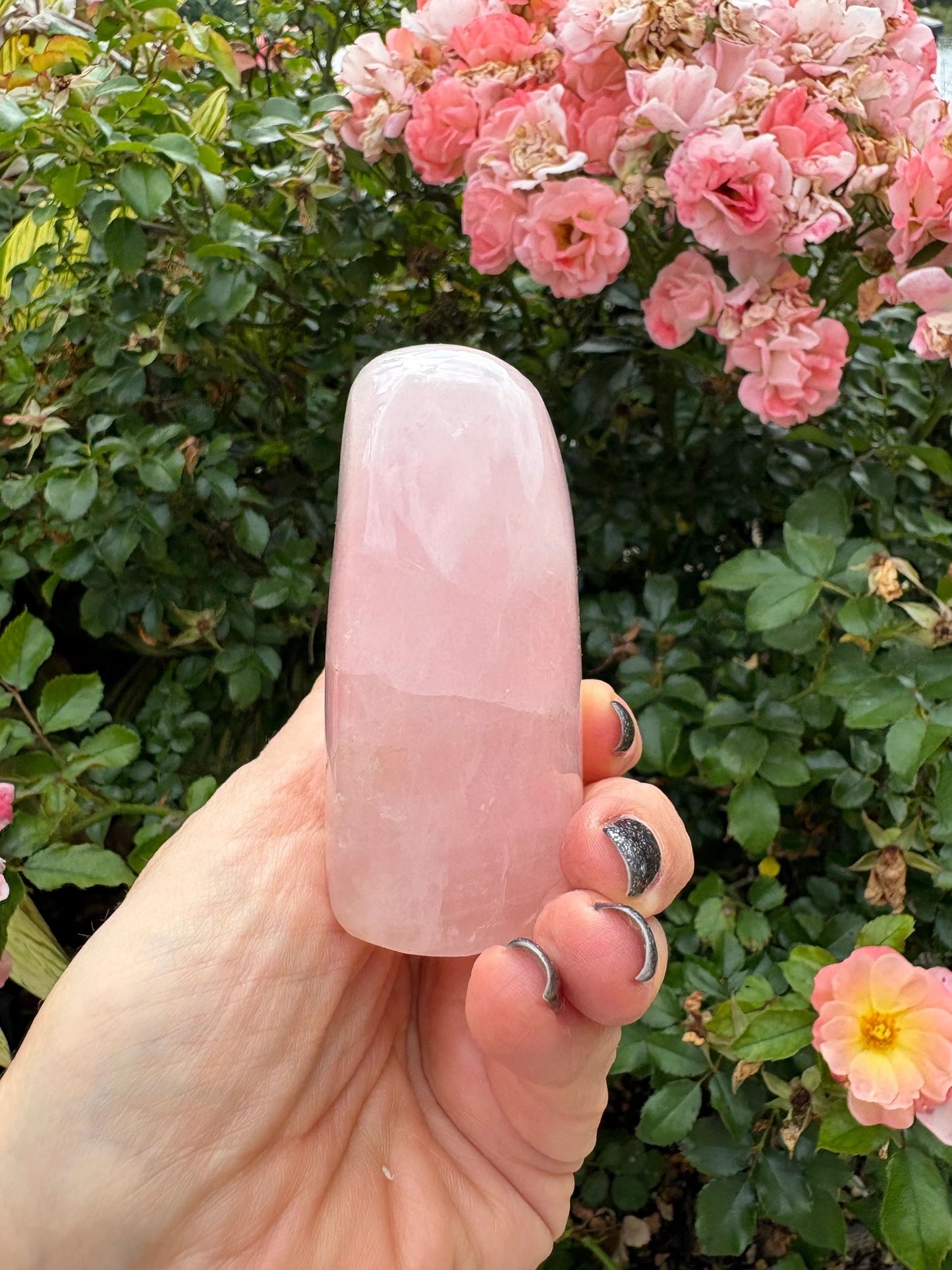 🌸 Rose Quartz Venus Bloom Freeforms – Love, Soft Power & Heart-Centered Glow