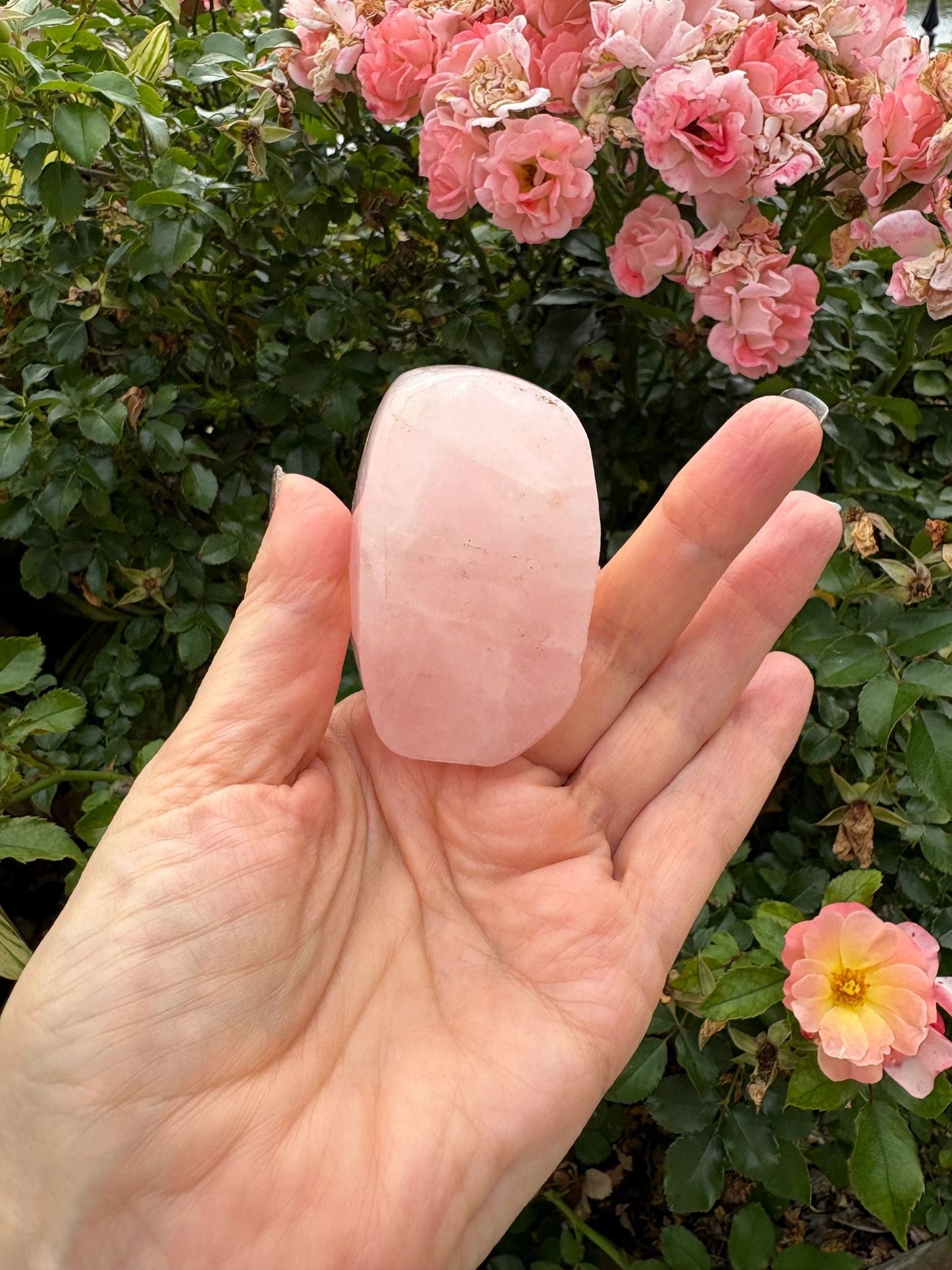 🌸 Rose Quartz Venus Bloom Freeforms – Love, Soft Power & Heart-Centered Glow