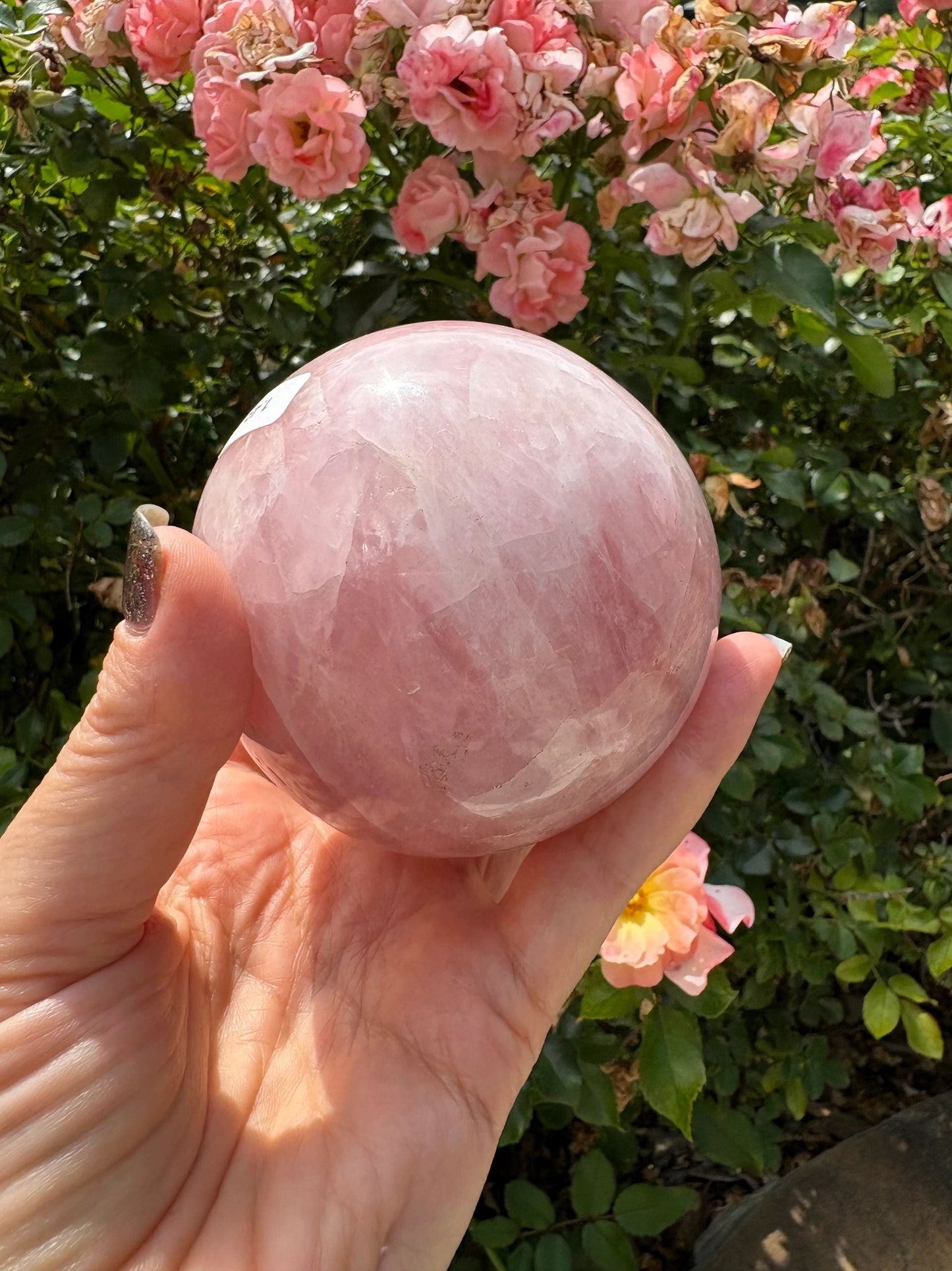 💗 Madagascar Rose Quartz Sphere – Love, Emotional Healing & Heart-Softening Energy | 1.49 lbs