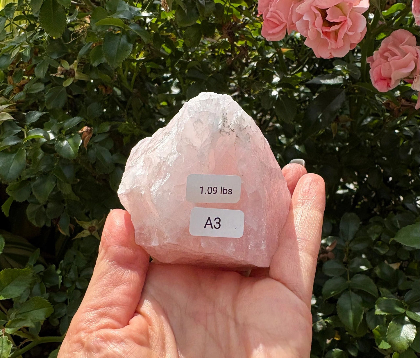 🌸 Raw Rose Quartz Chunk – Heart Healing, Soft Strength & Earthy Love | Choose Your Piece