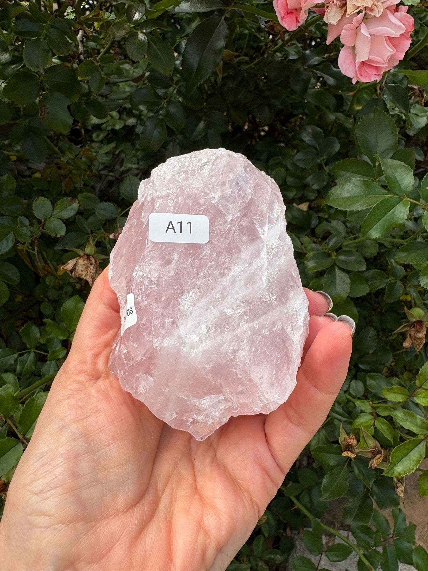 🌸 Raw Rose Quartz Chunk – Heart Healing, Soft Strength & Earthy Love | Choose Your Piece
