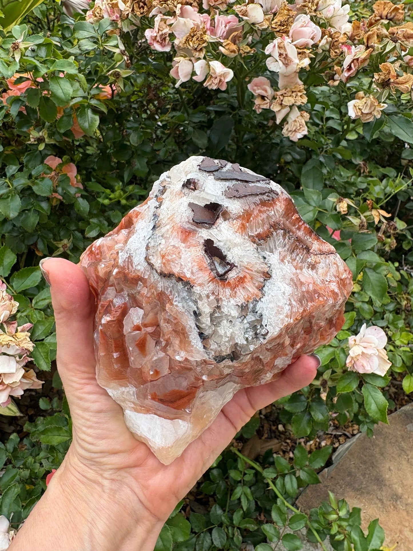 "Rootfire Harmony" Red Calcite Formation | Vitality & Emotional Alignment Grounding | Creative Energy | Energetic Flow