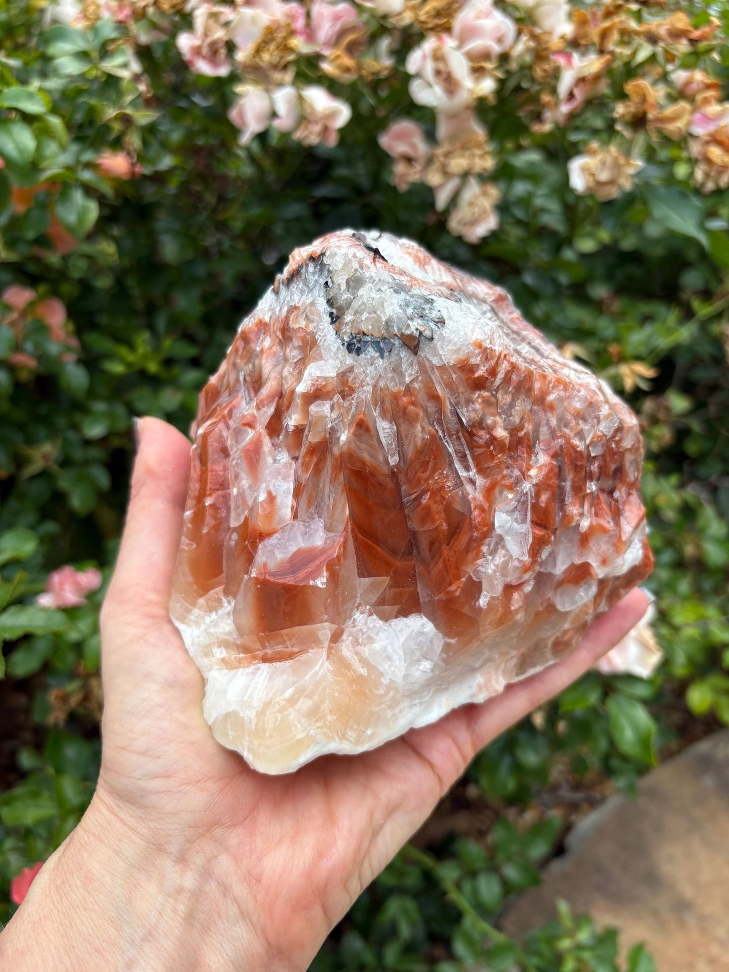 "Rootfire Harmony" Red Calcite Formation | Vitality & Emotional Alignment Grounding | Creative Energy | Energetic Flow