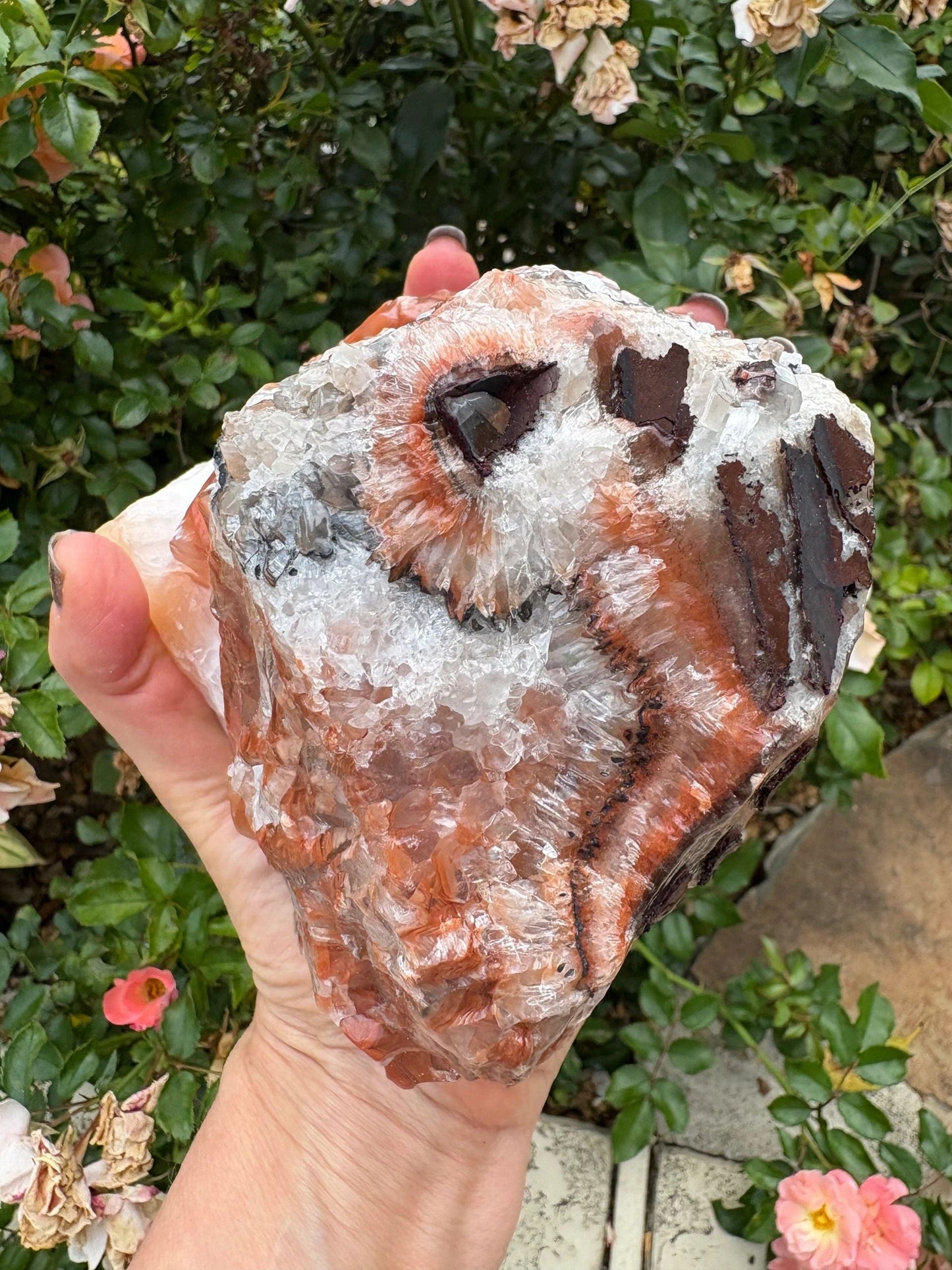 "Rootfire Harmony" Red Calcite Formation | Vitality & Emotional Alignment Grounding | Creative Energy | Energetic Flow