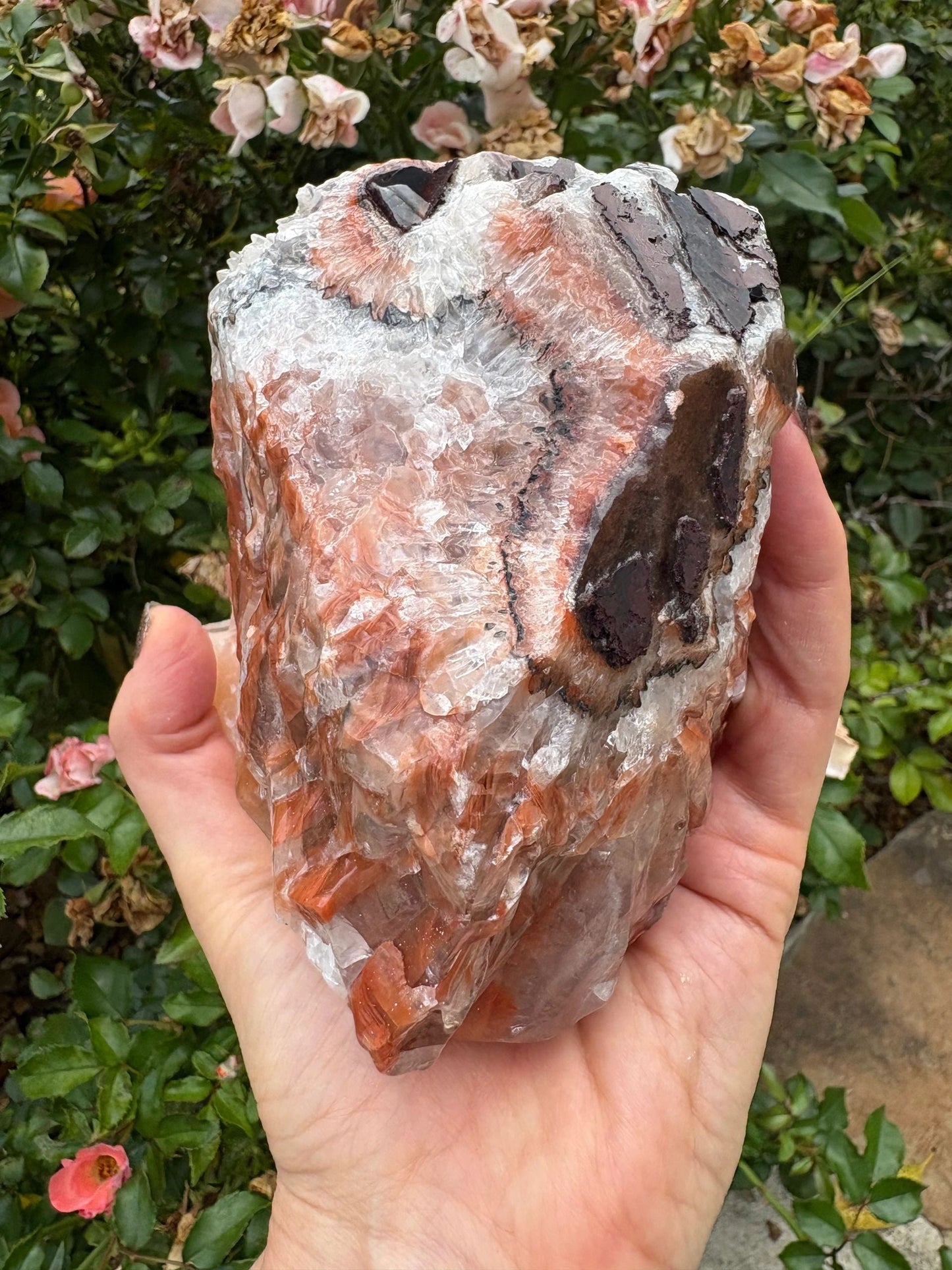 "Rootfire Harmony" Red Calcite Formation | Vitality & Emotional Alignment Grounding | Creative Energy | Energetic Flow