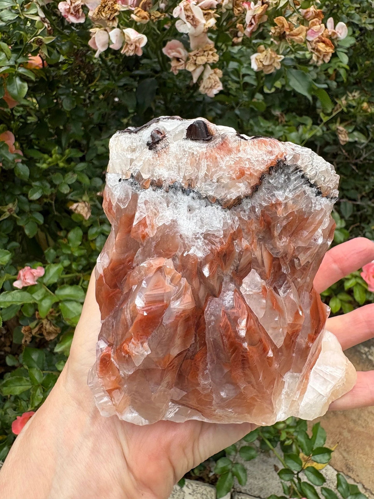"Rootfire Harmony" Red Calcite Formation | Vitality & Emotional Alignment Grounding | Creative Energy | Energetic Flow