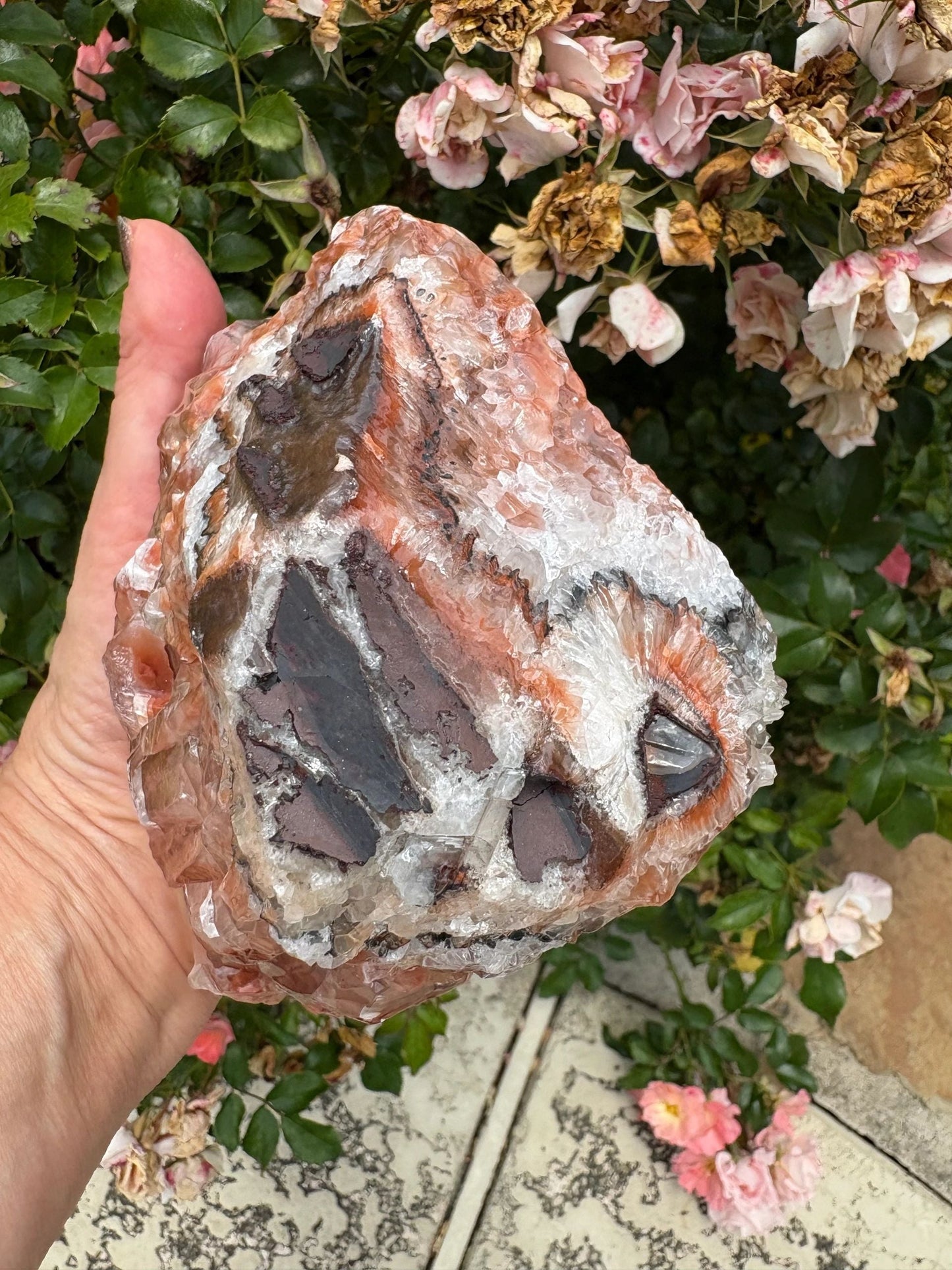 "Rootfire Harmony" Red Calcite Formation | Vitality & Emotional Alignment Grounding | Creative Energy | Energetic Flow