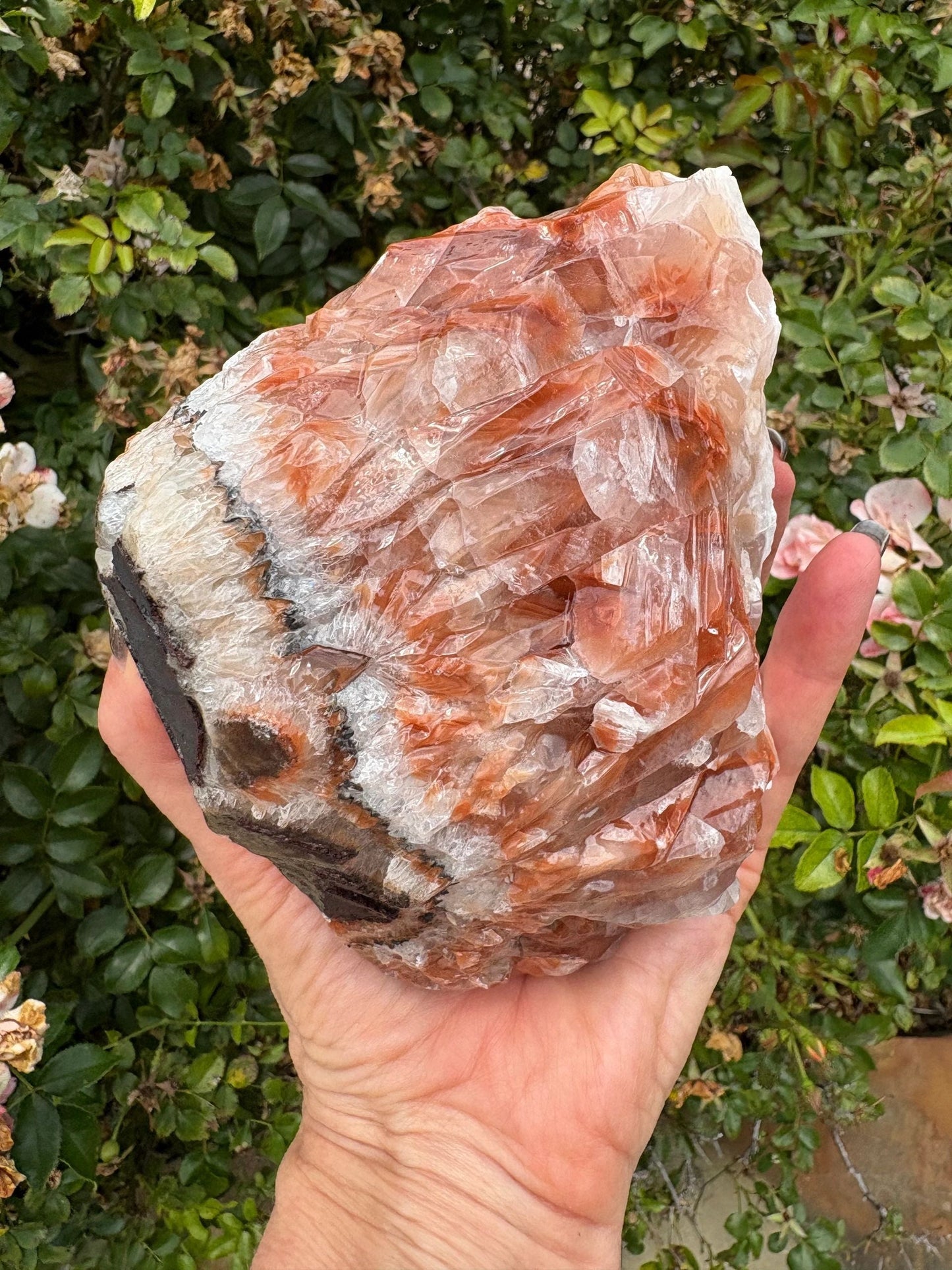 "Rootfire Harmony" Red Calcite Formation | Vitality & Emotional Alignment Grounding | Creative Energy | Energetic Flow