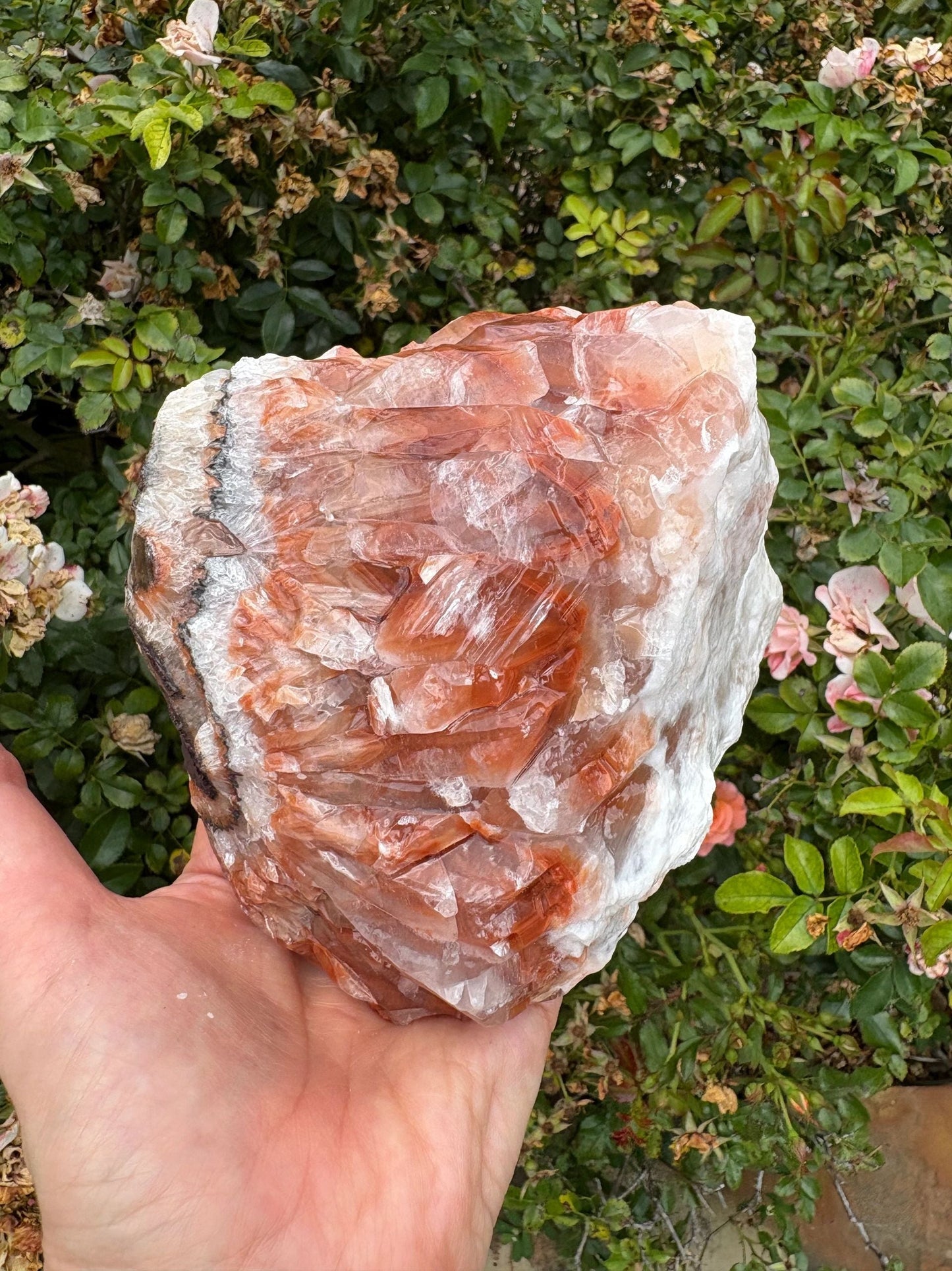 "Rootfire Harmony" Red Calcite Formation | Vitality & Emotional Alignment Grounding | Creative Energy | Energetic Flow