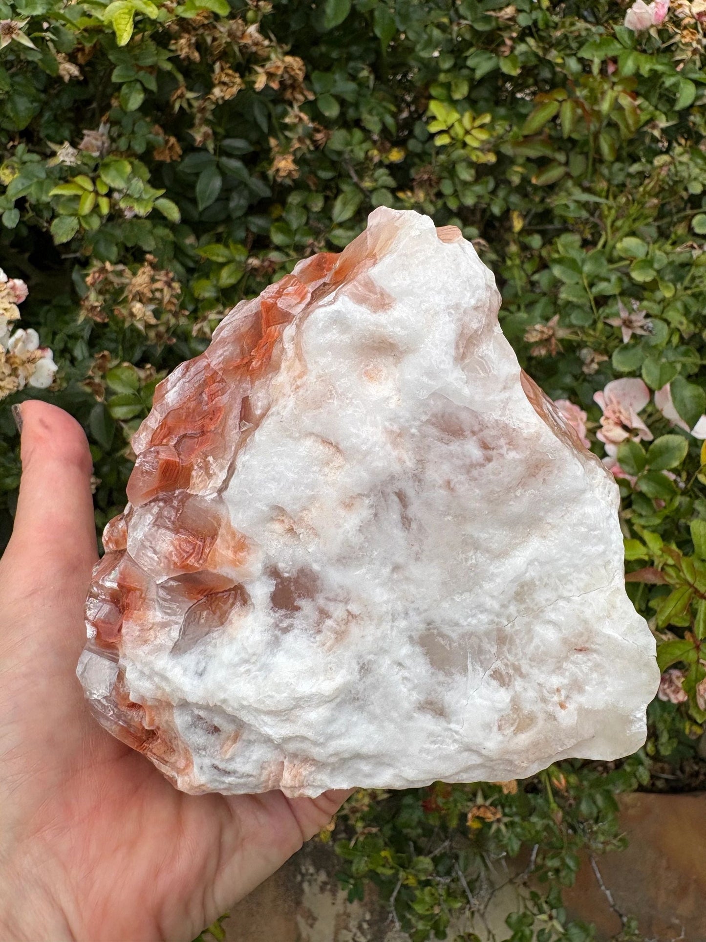 "Rootfire Harmony" Red Calcite Formation | Vitality & Emotional Alignment Grounding | Creative Energy | Energetic Flow