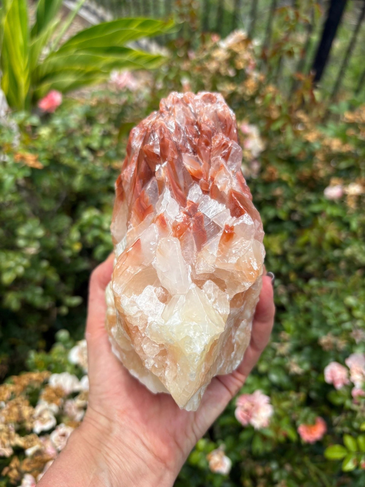 "Solar Rise" Red Calcite Formation | Strength & Creative Emergence Stability | Vitality | Emotional Uplift