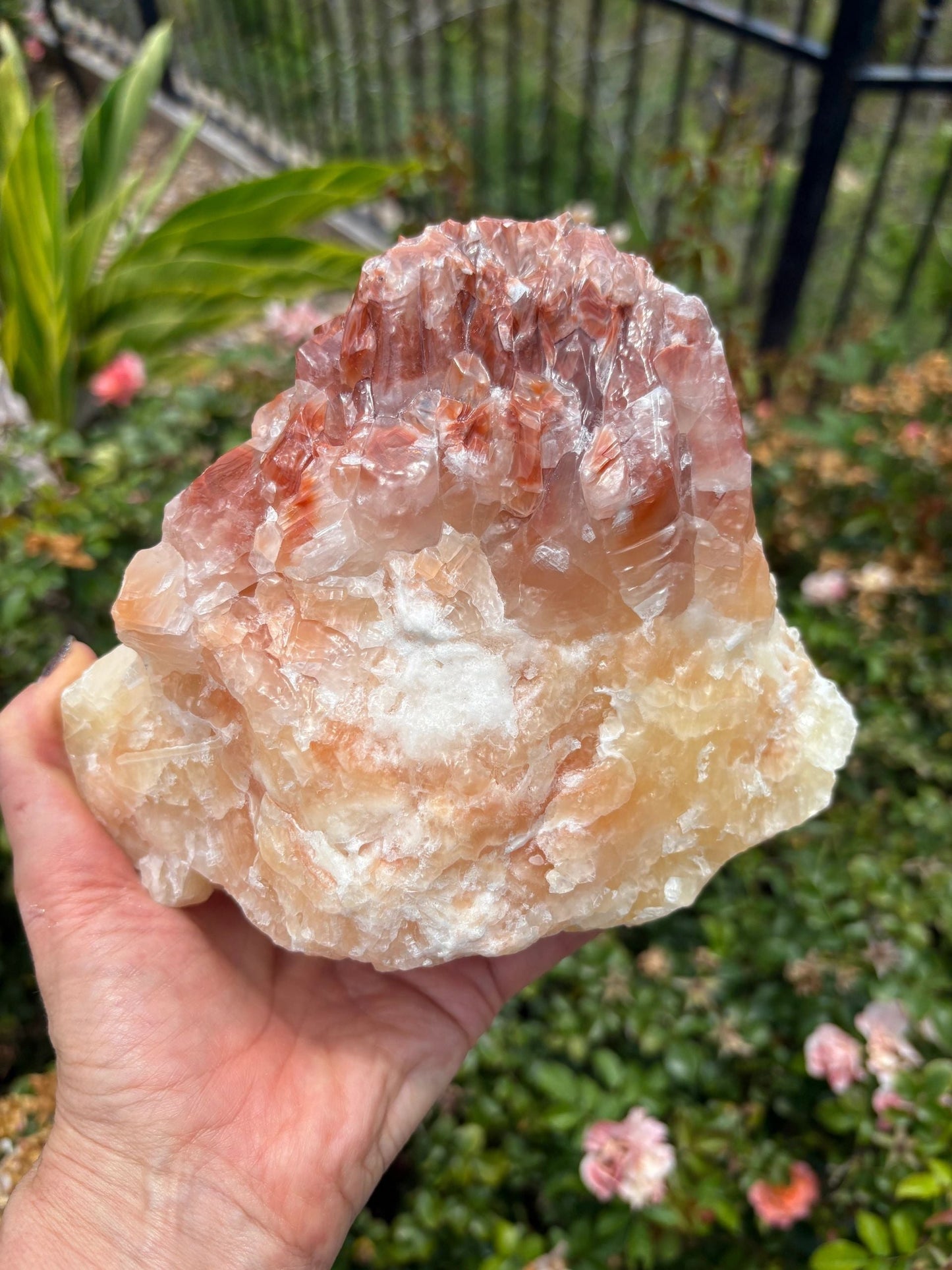 "Solar Rise" Red Calcite Formation | Strength & Creative Emergence Stability | Vitality | Emotional Uplift